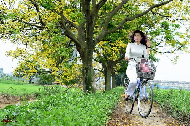 The road, between the pain The pain is just enough to miss each other, smile | Like ca