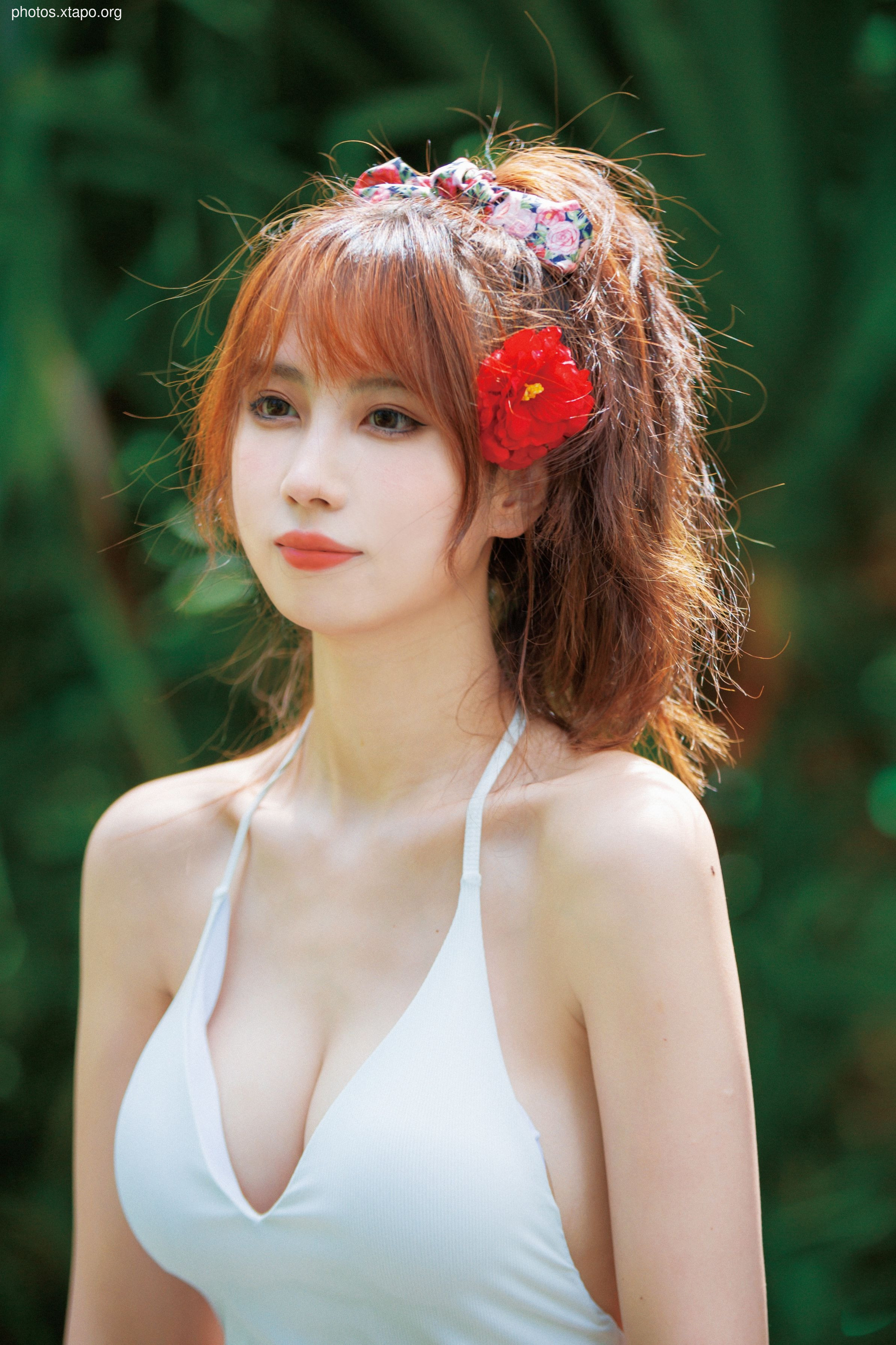 NO.034 Showa Flower 35P-435MB