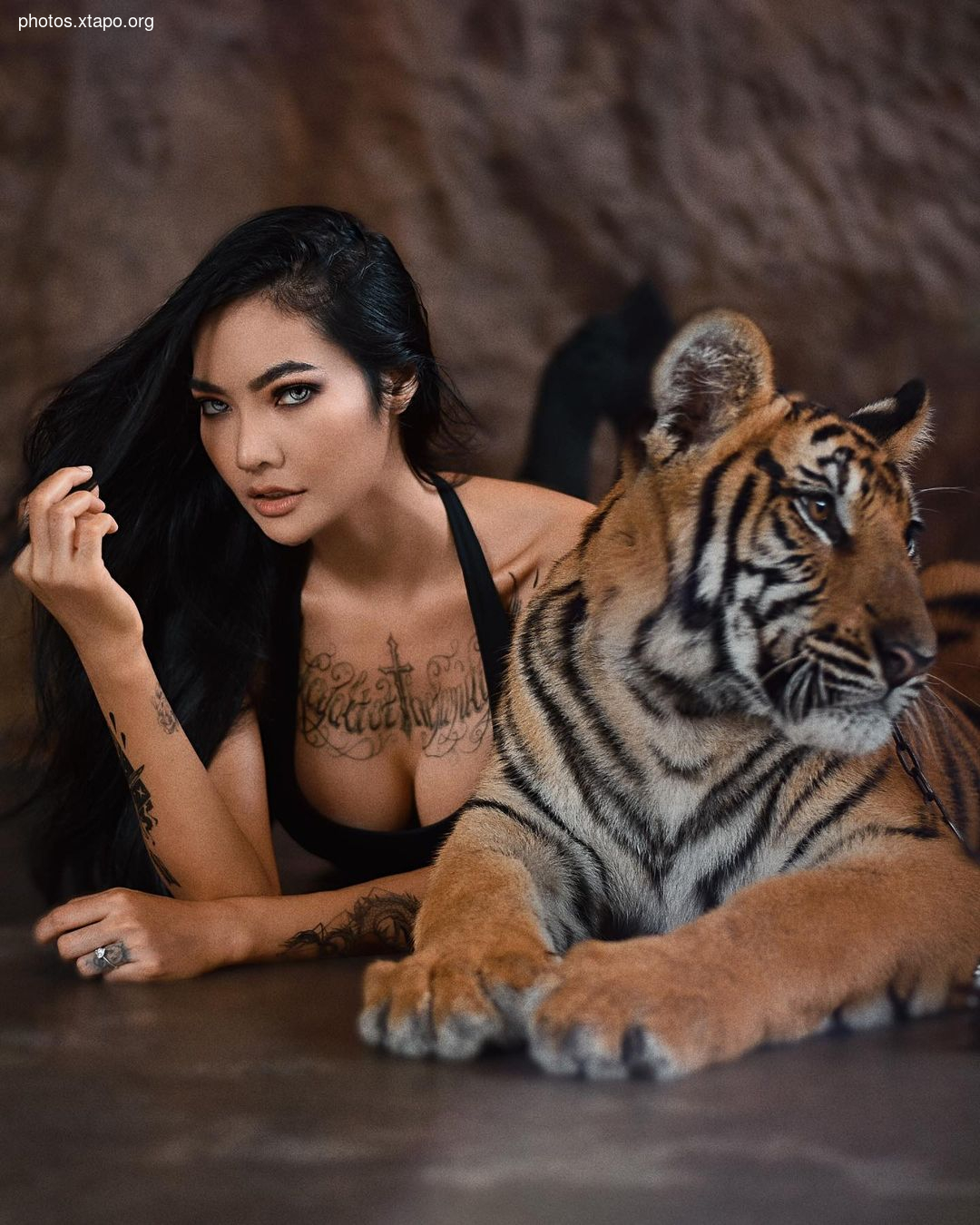 Mr Maxx W Tigerstam,