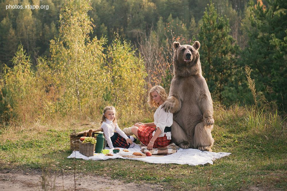 Russia nature, forest and animals by Olga Barantseva