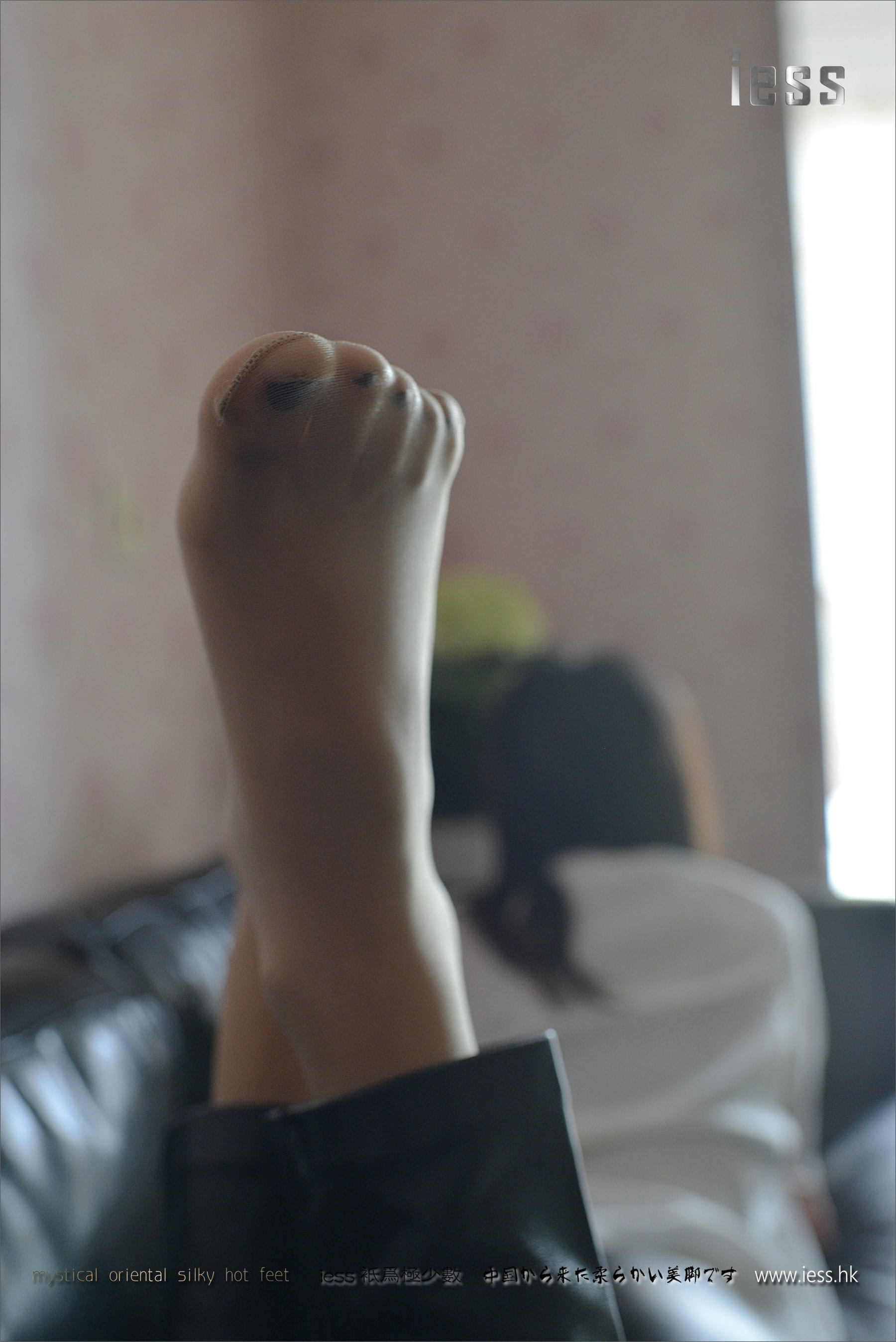 Silk Foot Bento 062 Little C Pork Foot Foot IESS Different Thoughts