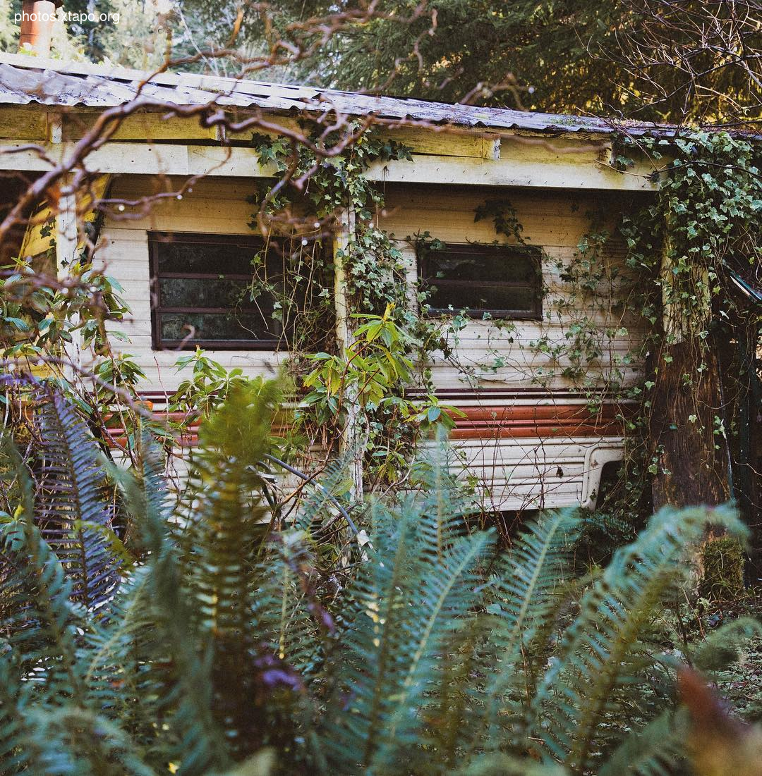 Building a wonderland of artisan cabins nestled in the PNW rainforest by Jacob Witzling & Sara Underwood