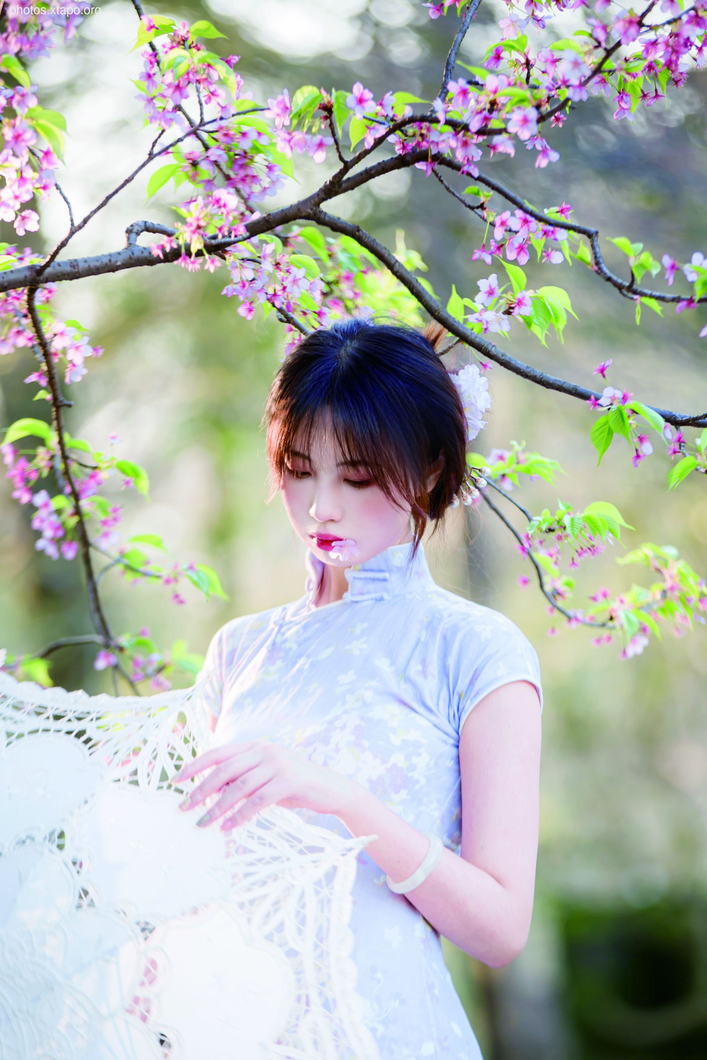 NO.026 Cheongsam 38P-377MB