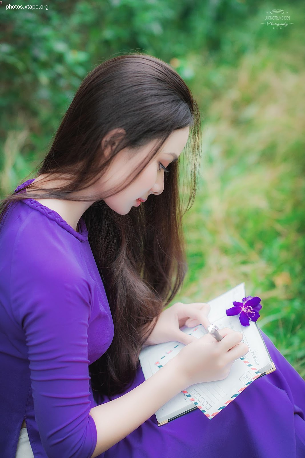 the most beautiful wild forest of purple flowers The most love story