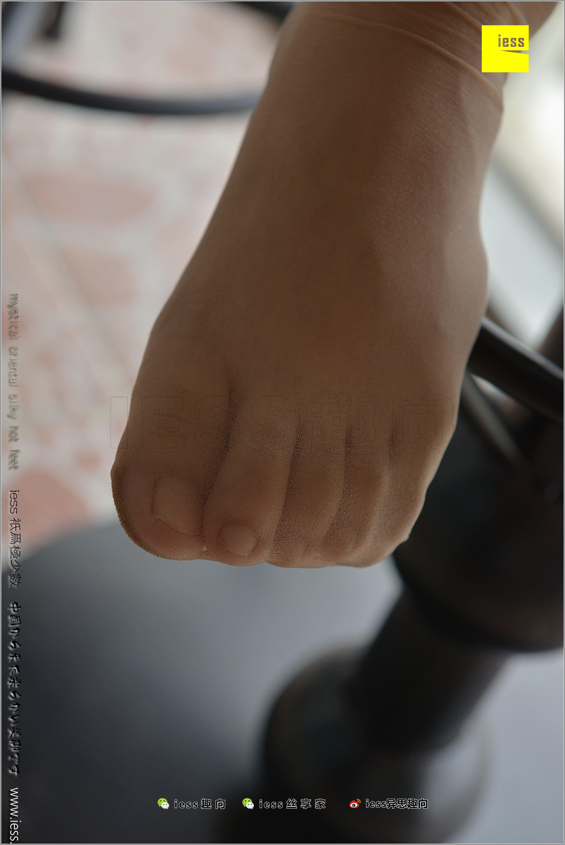 184 Zhang Foot Bento Zhang Xinyue's Contentive Frequency Music IESS Thoughts and Interesting