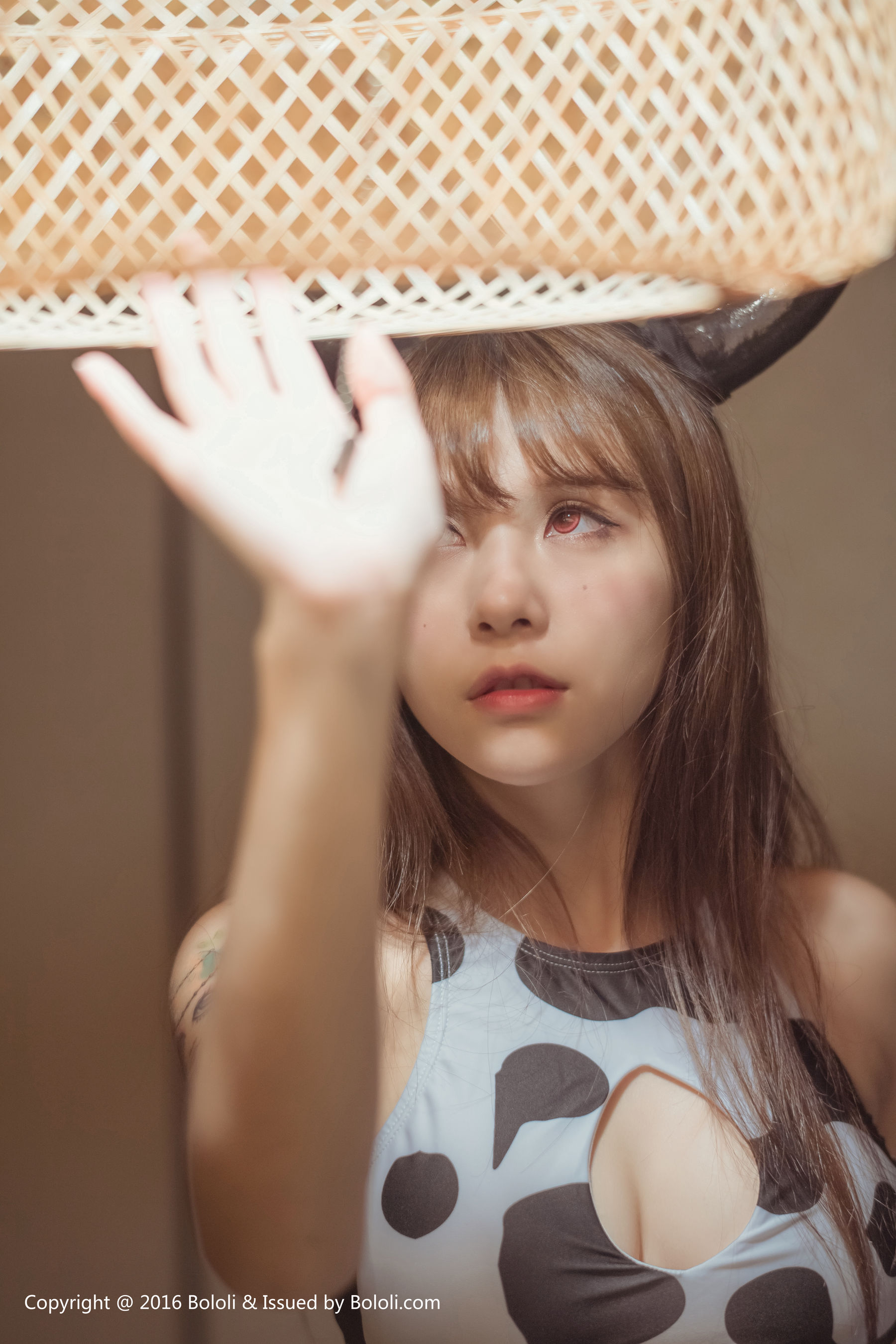 Xia Mei sauce COS Cow Demon King Bololi Bolo Society Bol.093