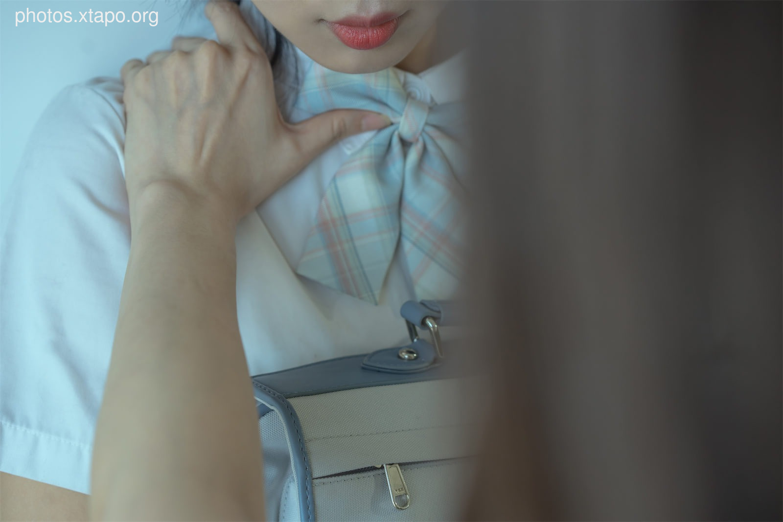 Autumn and Corgi Bullying Diary