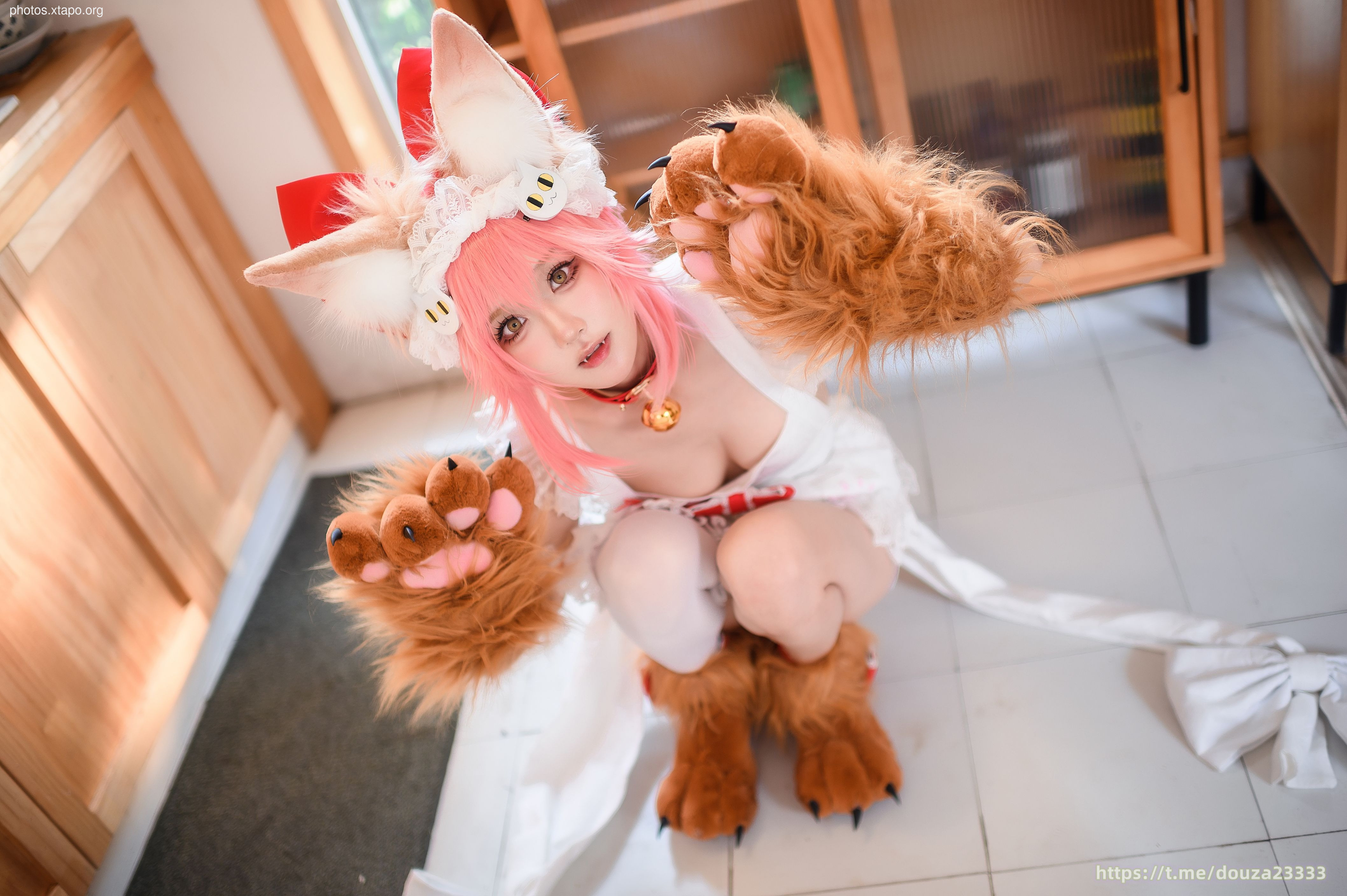 Abao Tamamo Meow (November 9 tipping group resources)