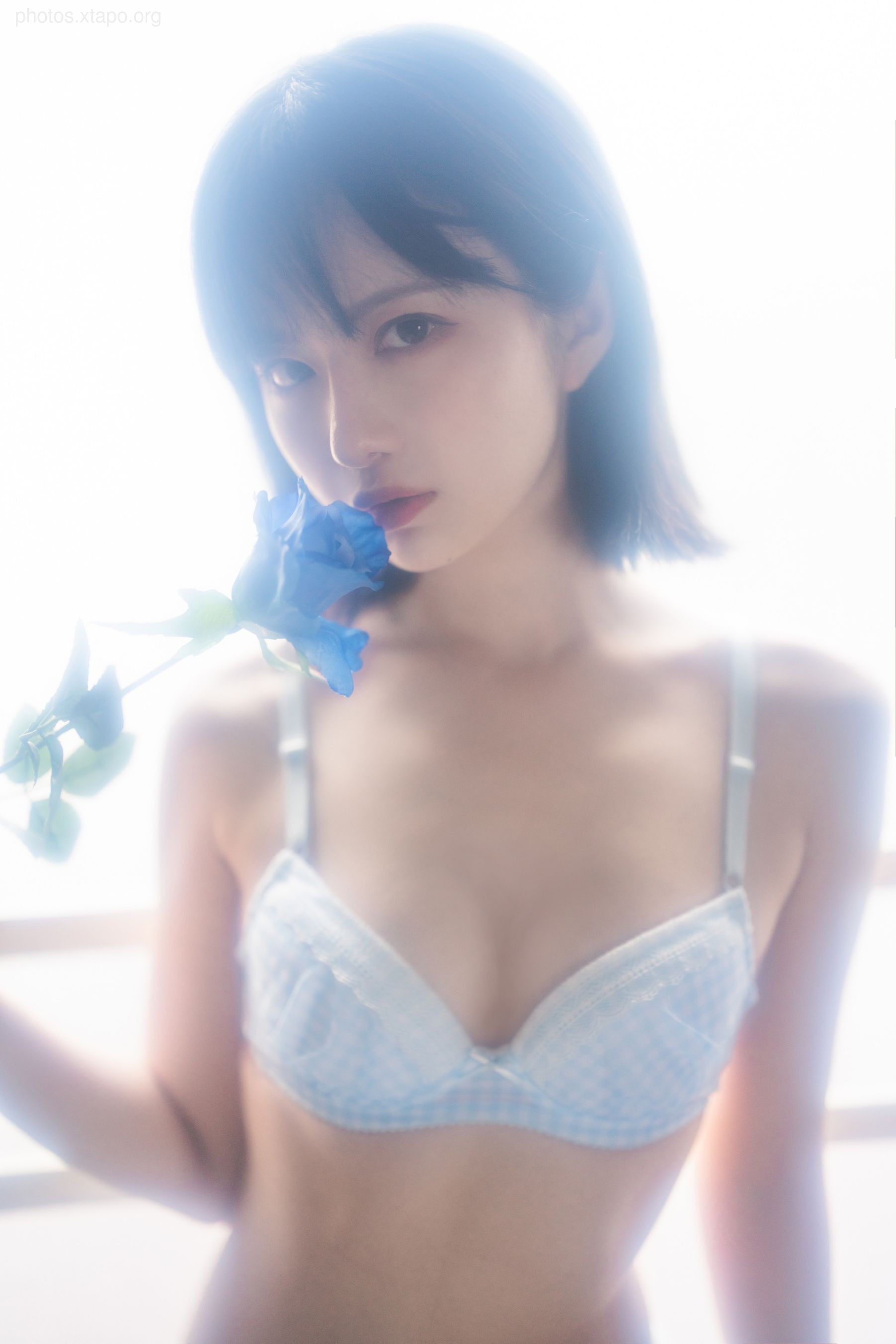 Shika Little Deer -No.78 Swimsuit 63P -107MB