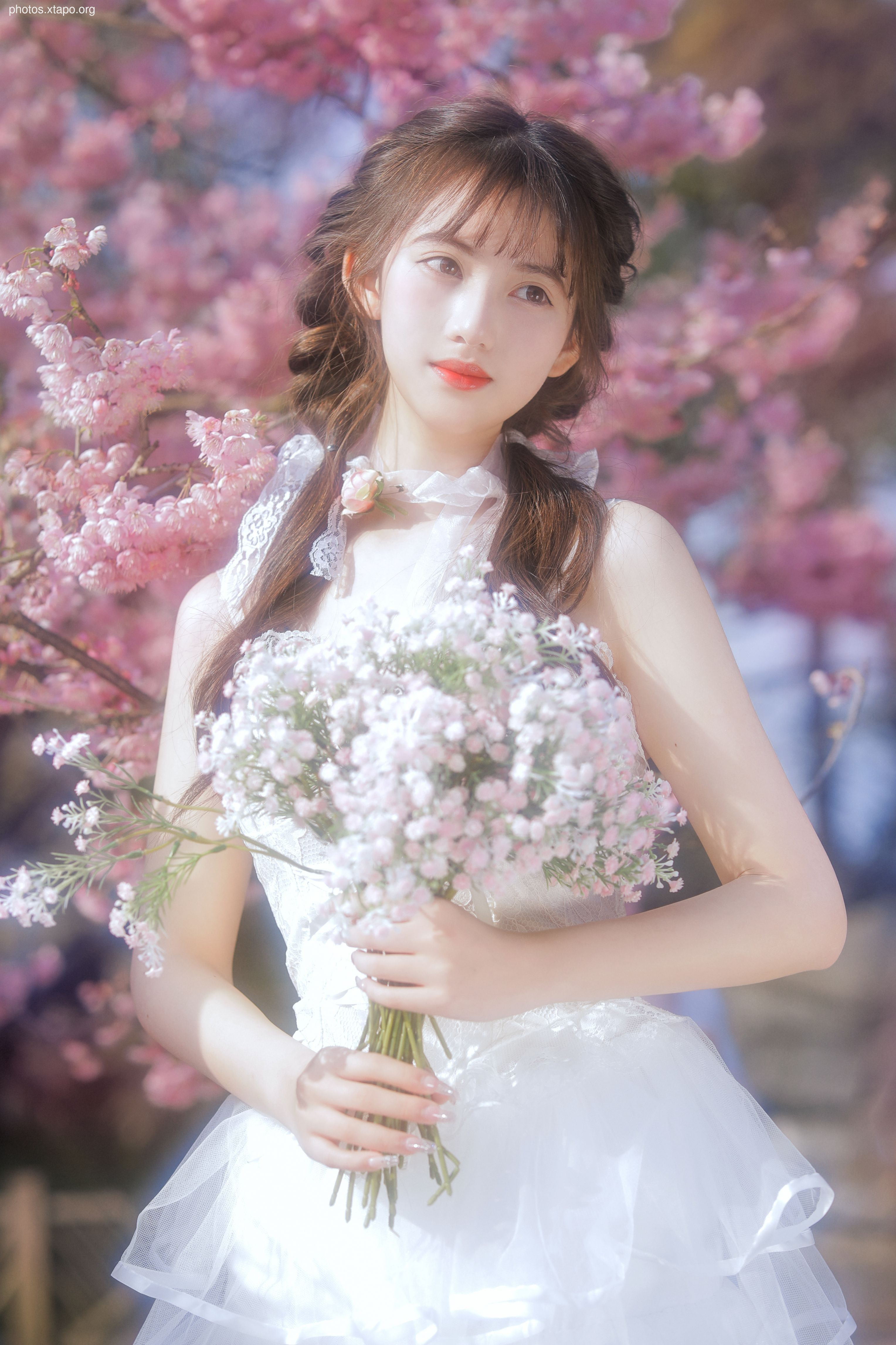 Yizi yiii cherry blossom limited