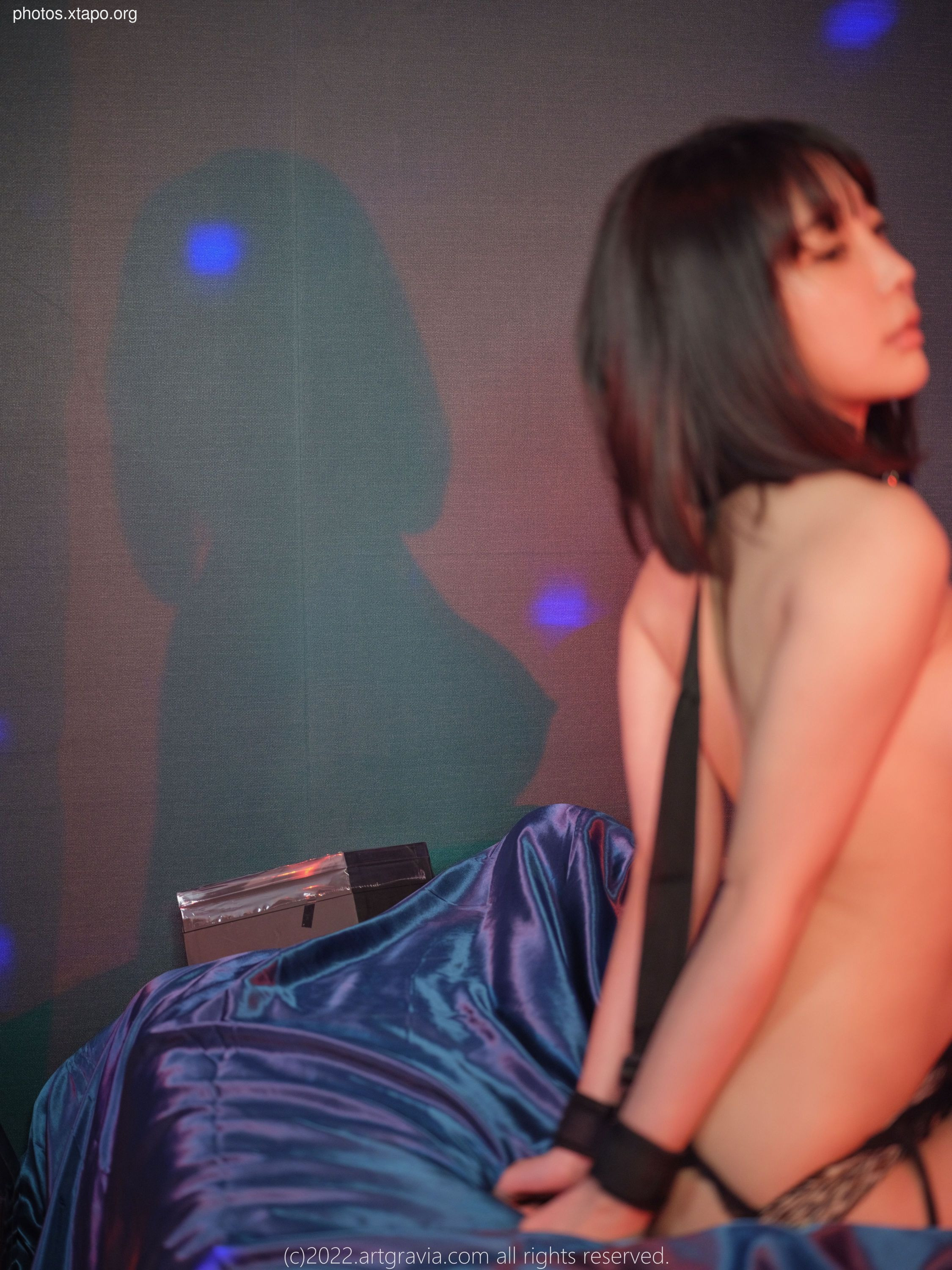 ARTGRAVIA_VOL43494P-219MB