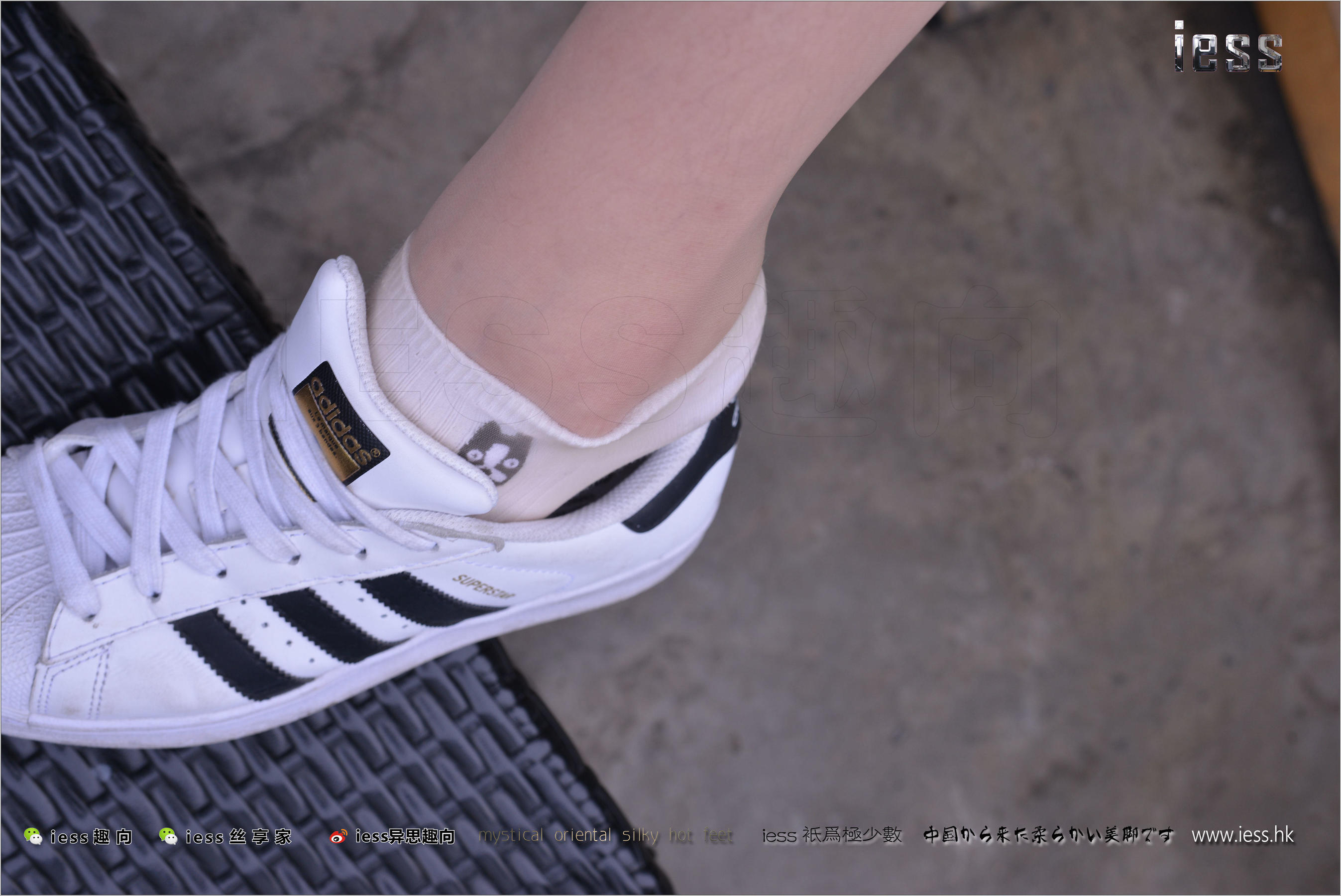 Silk Foot Bento 172 Uncle Yuan Stockings Cotton Stocks Shell Head Double Eleven Special_ IESS Different Thinking