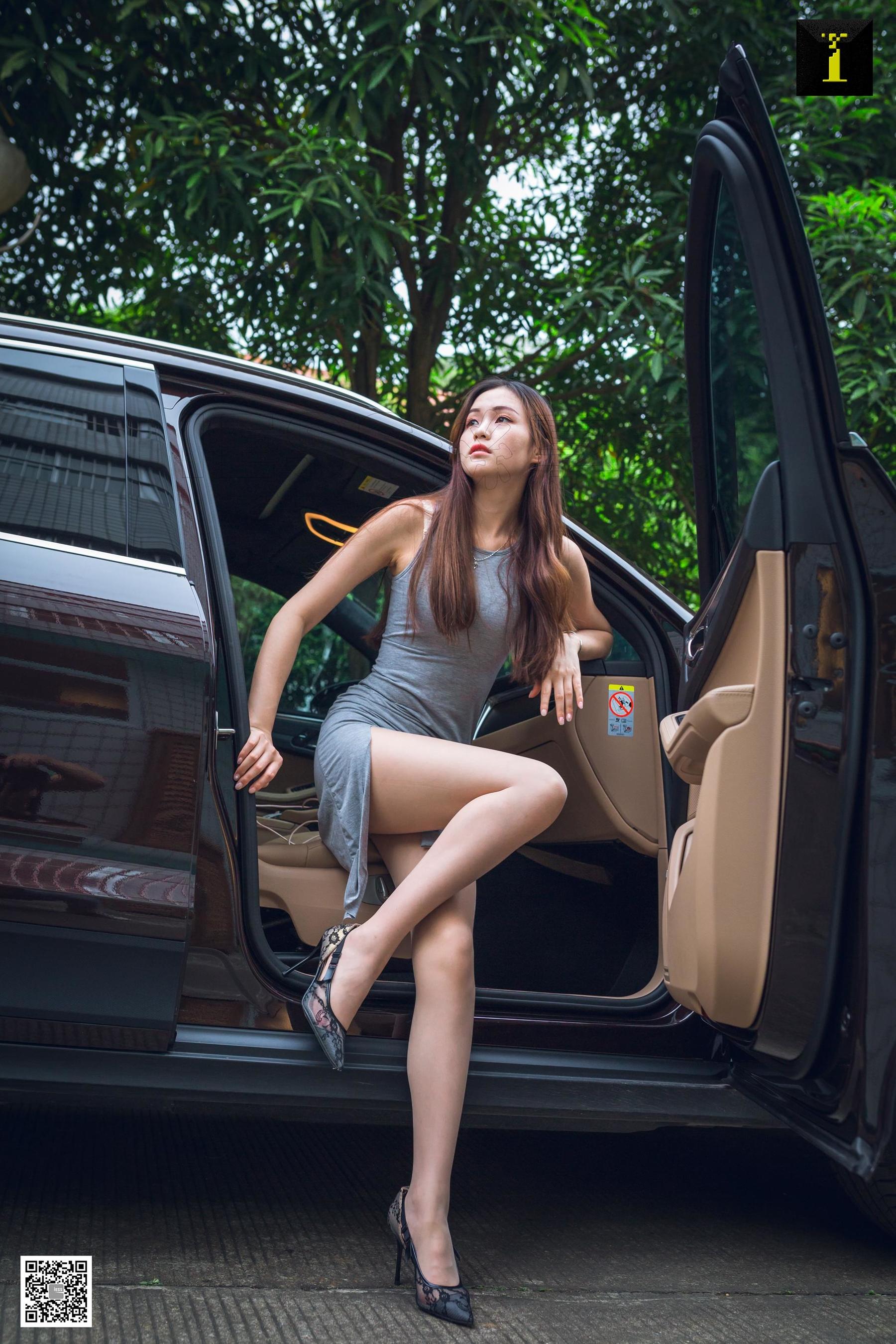 Different Thoughts to IESS Model: Jiu Mei's The Love of Jiumei's Car