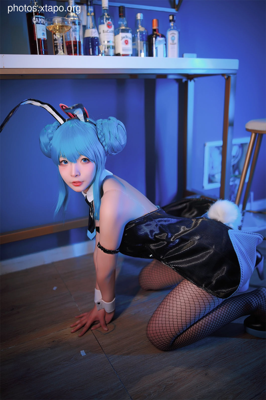 yuuhui Tamazu Hatsune 兔 兔