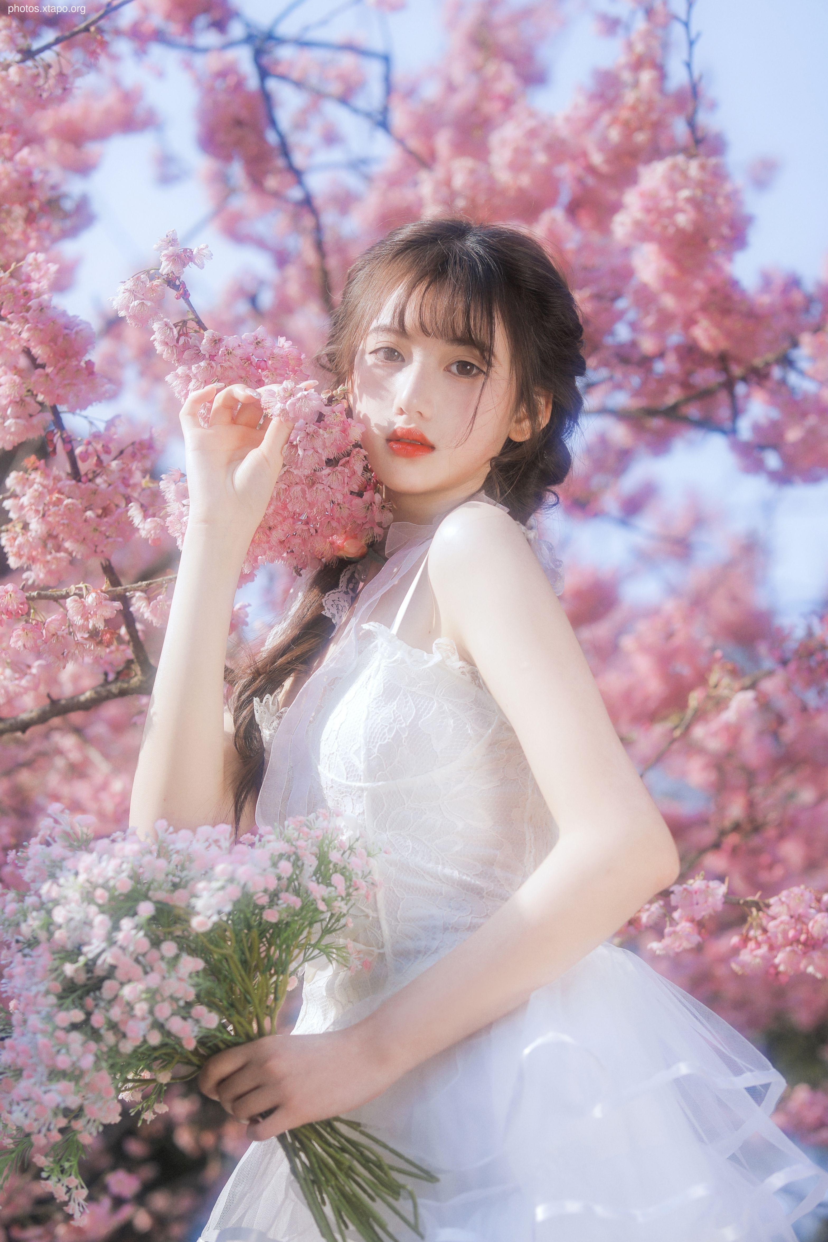 Yizi yiii cherry blossom limited