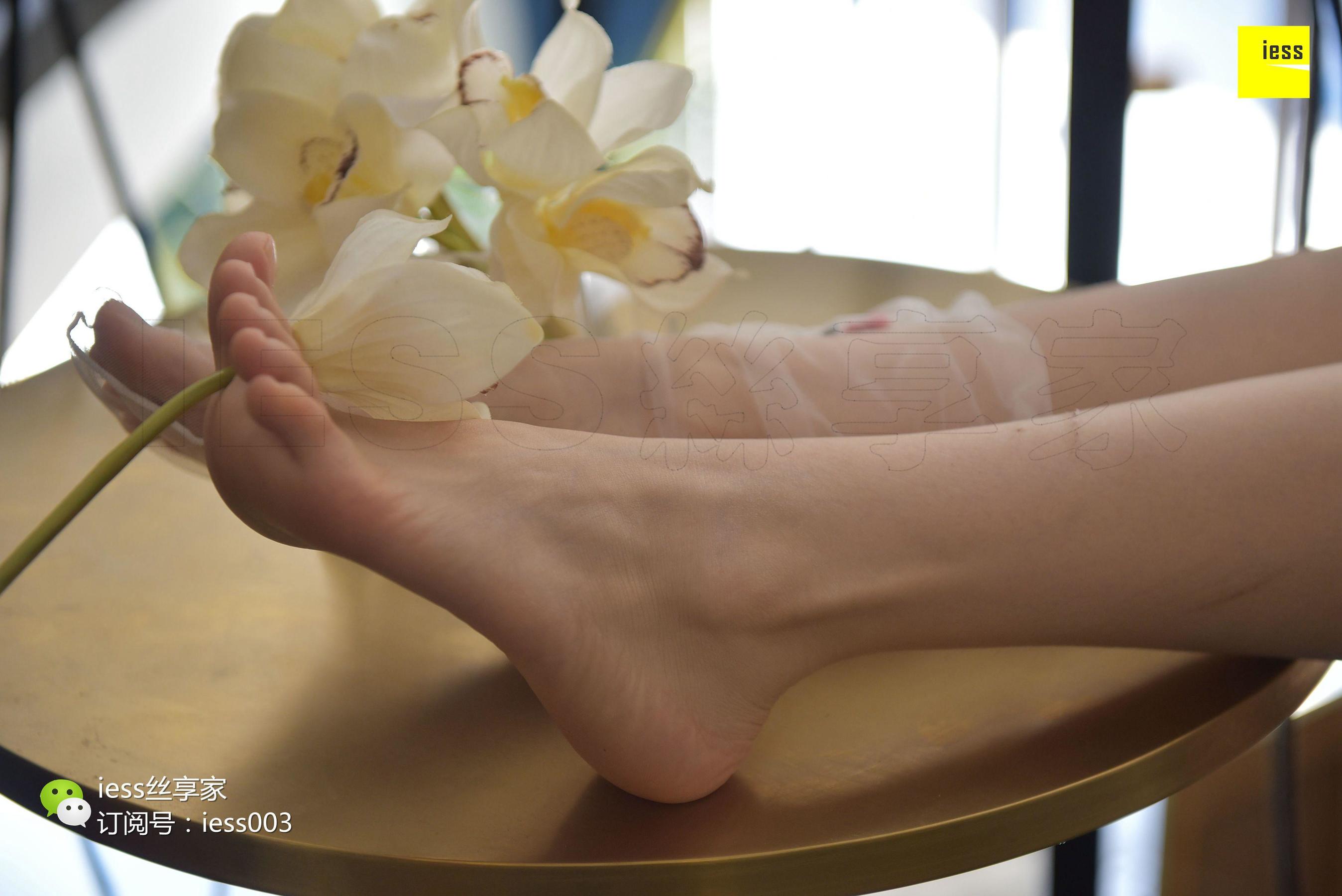 Silkxiang Home 050 Jiajia Jiajia Jiaye IESS is thinking about it