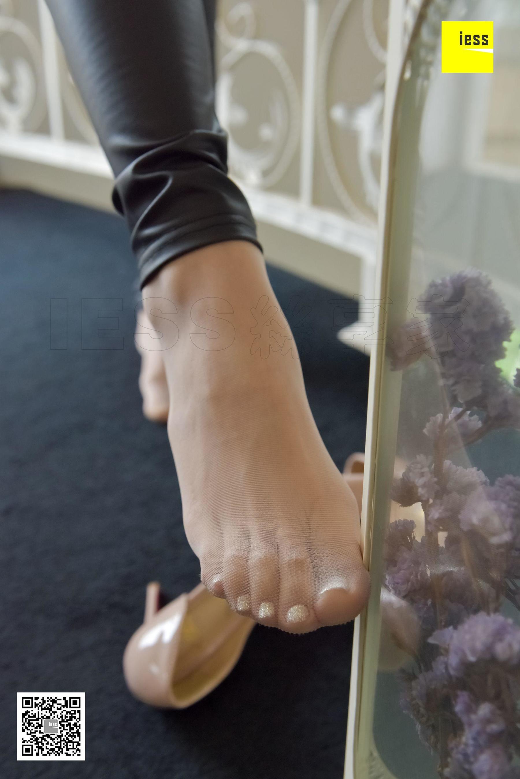 Silkxiangjia 112 Junjun The Pork in the Package IESS Thoughts and Interesting