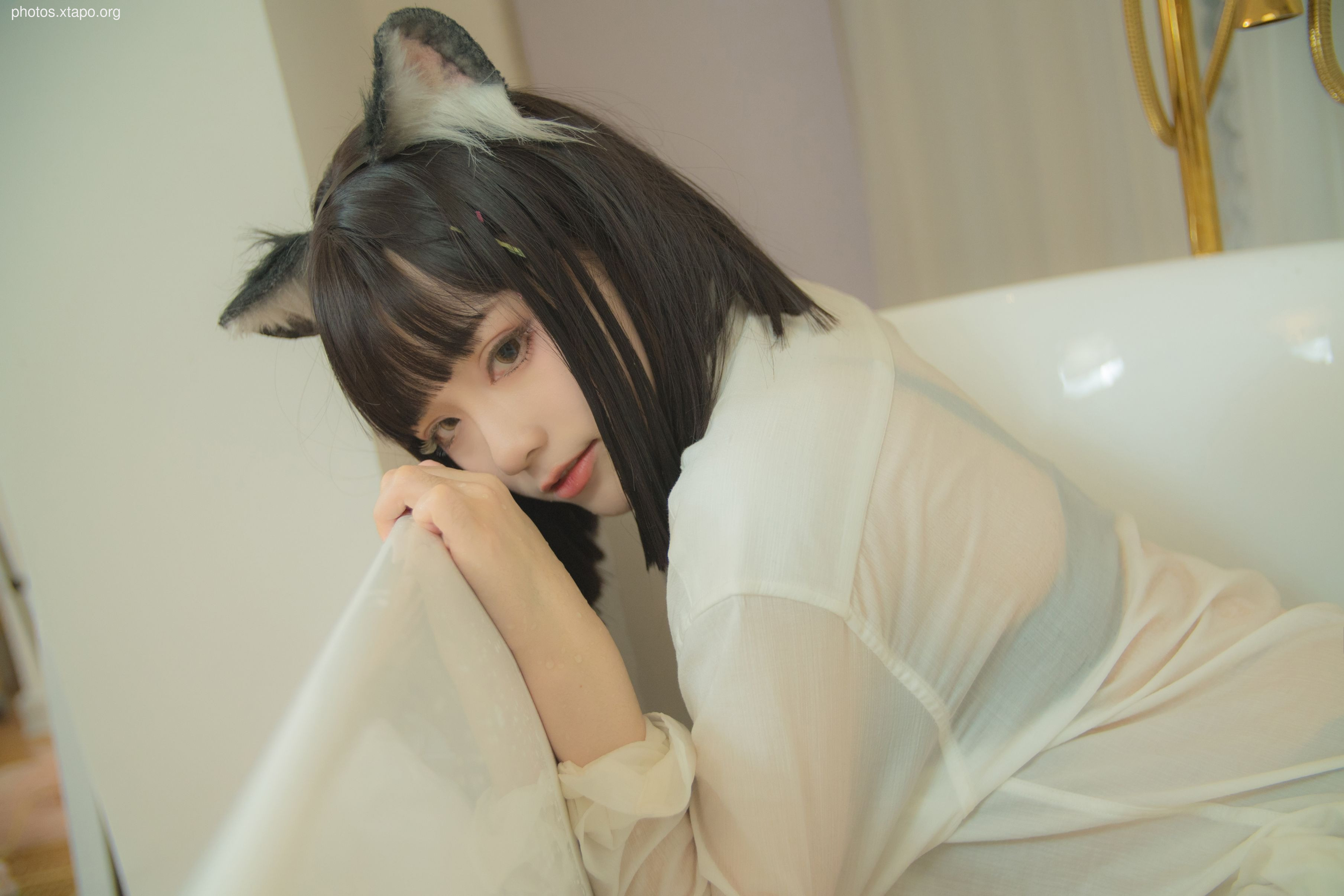 NO.010 Cat News 90p-989MB