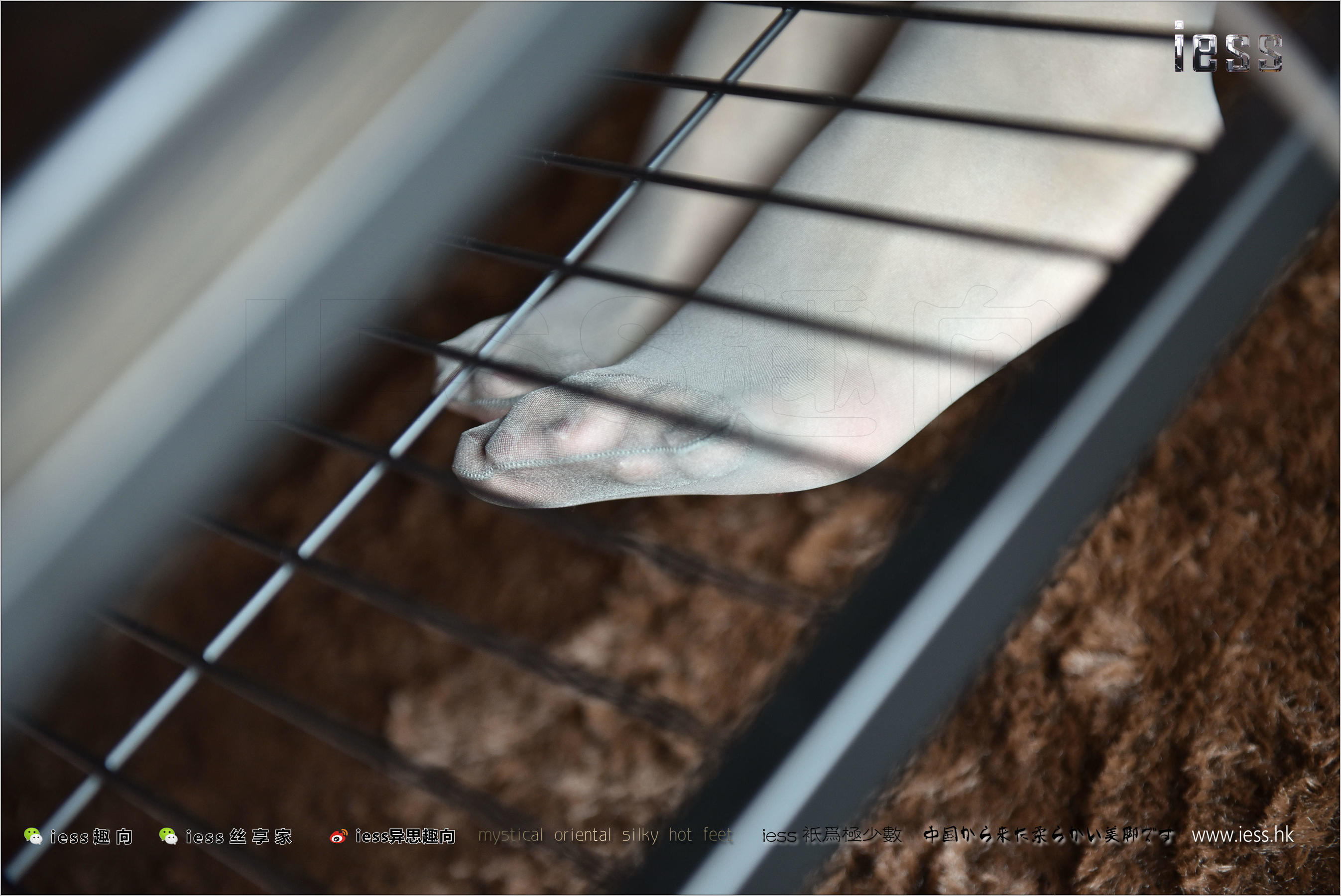 Silk Foot Bento 169 Weiwei Guest (thick gray silk) IESS is interesting and interesting