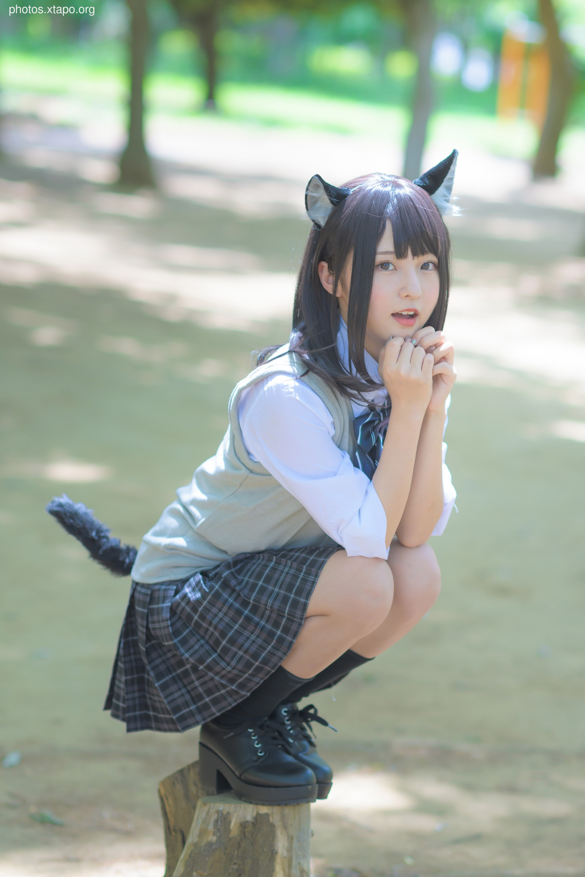 C96 Tofu Factory (Anni Tofu) mamefu Chaton