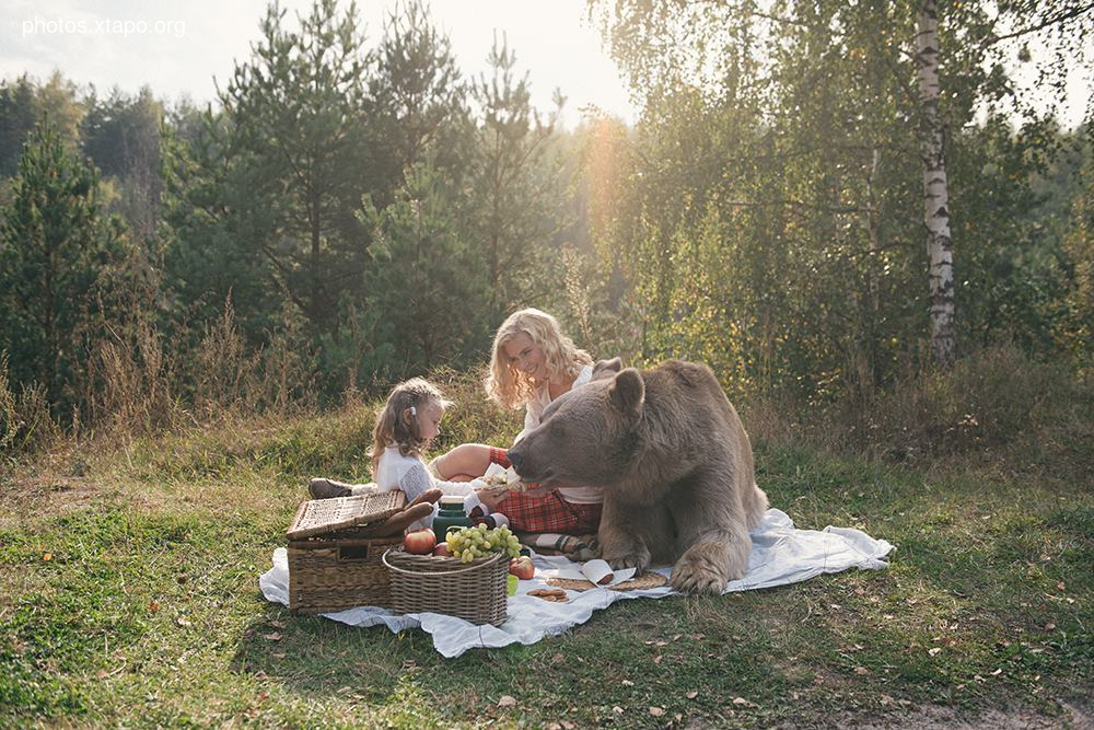 Russia nature, forest and animals by Olga Barantseva