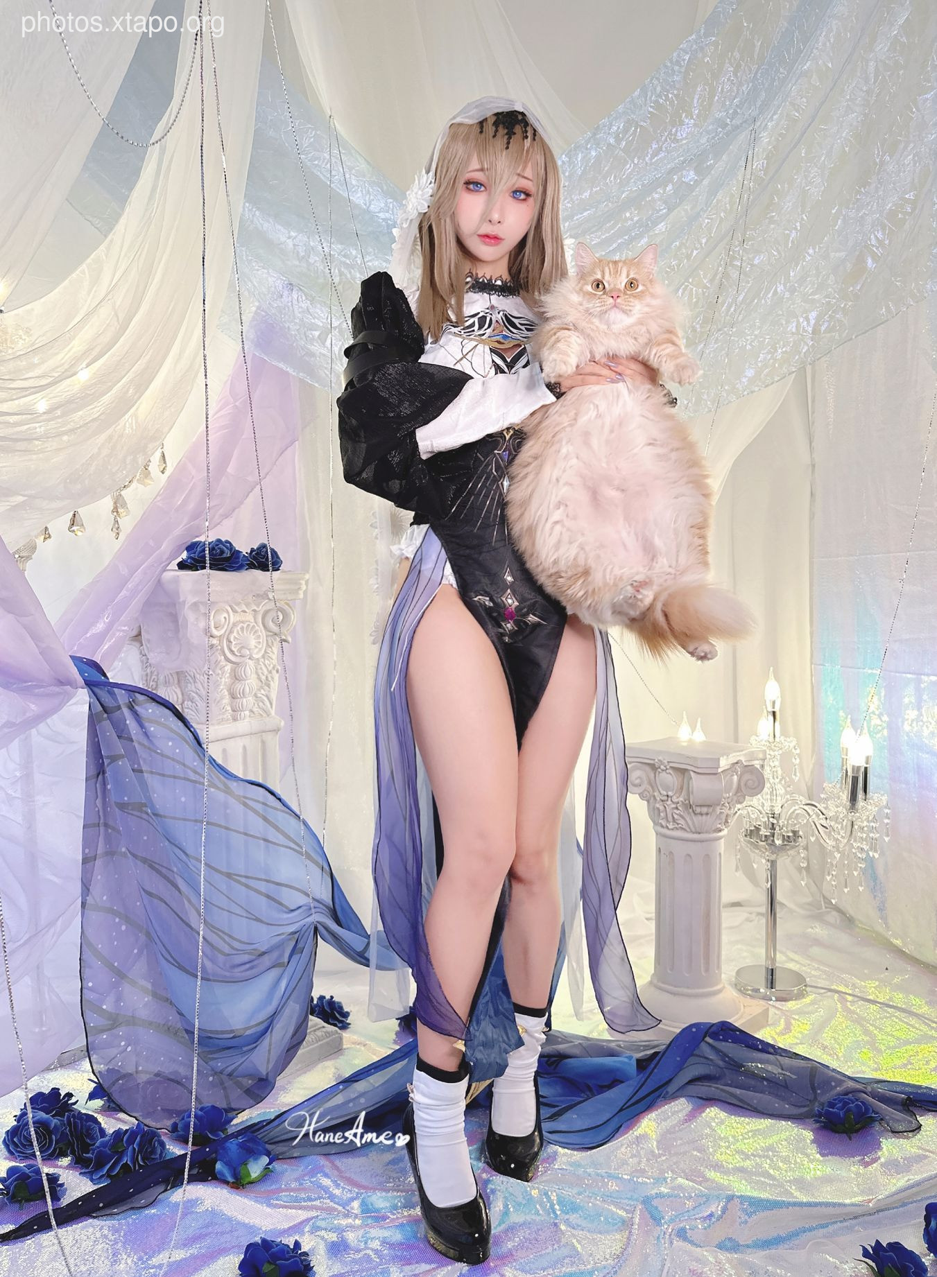 Original_dazzling Bunny