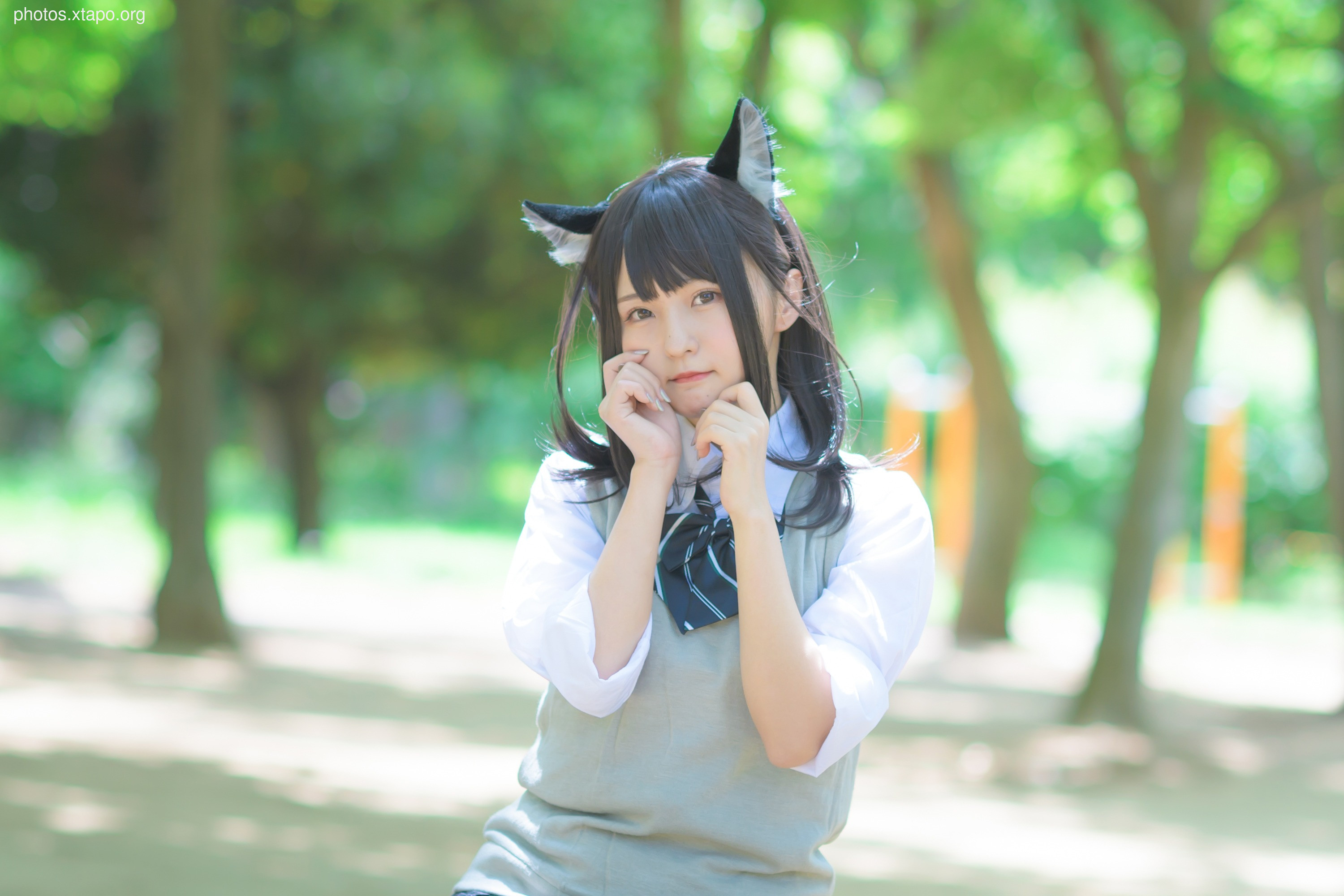 C96 Tofu Factory (Anni Tofu) mamefu Chaton