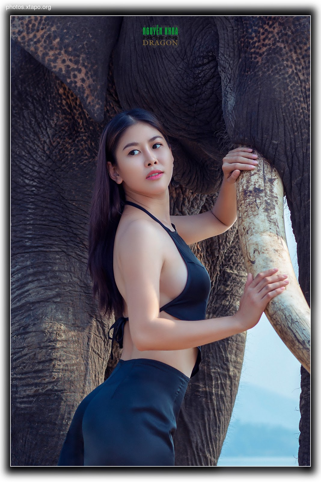 Thao Chi vs Kim Phung,