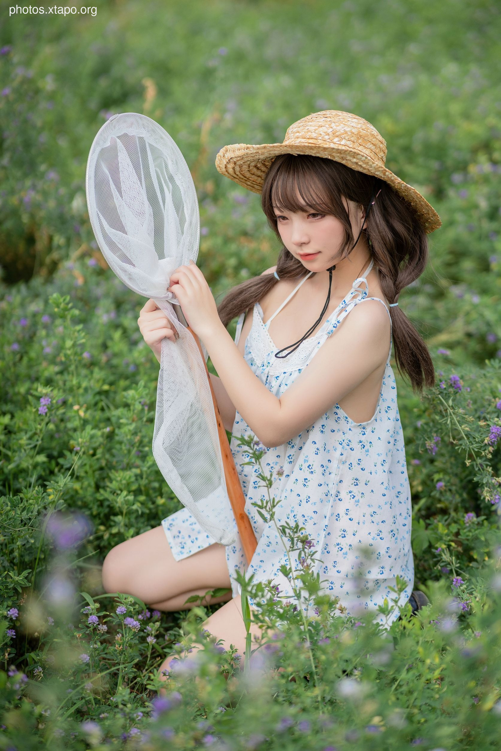 Flower Bellfield (39P425MB)