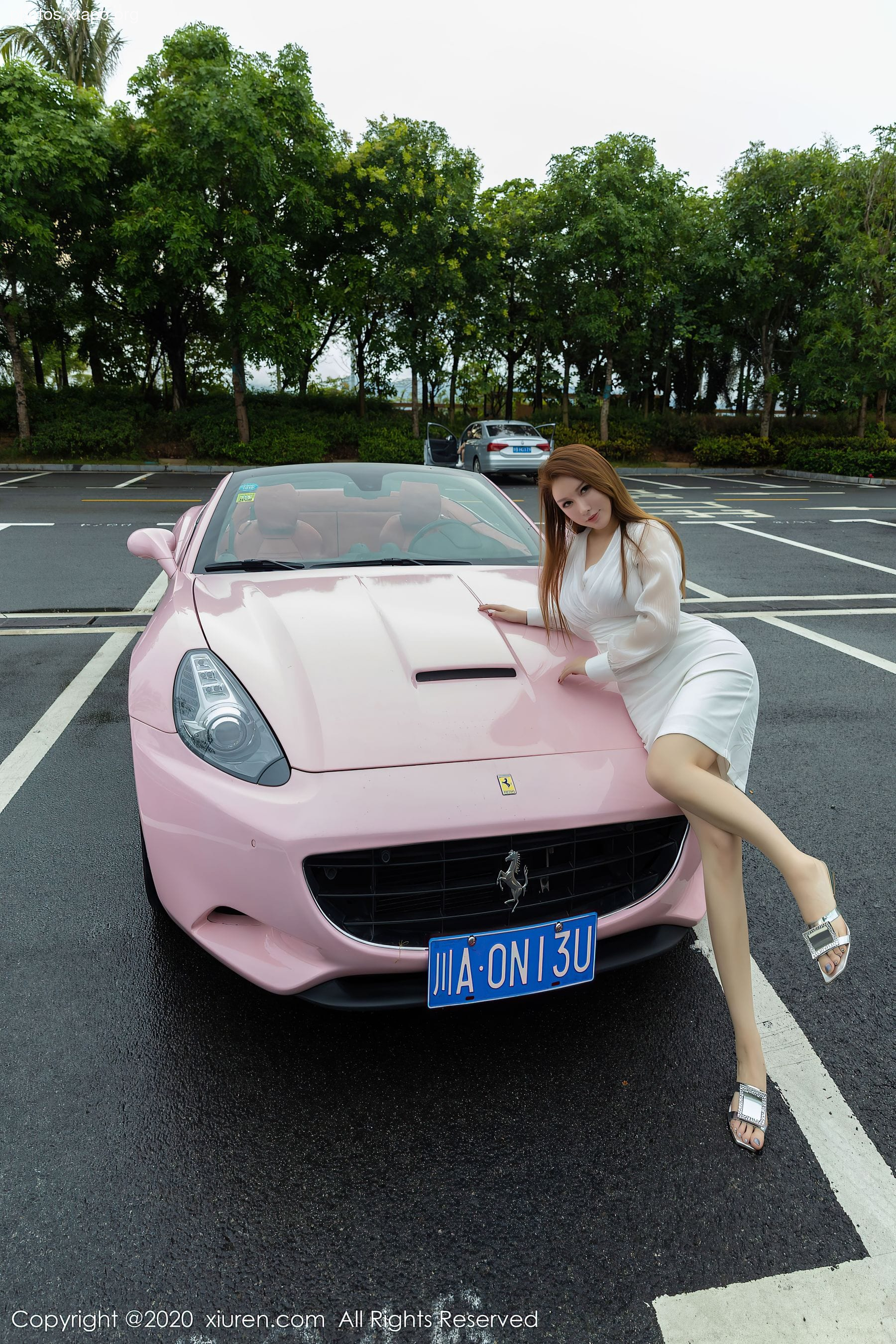 Xiuren 2641 Egg Toxic