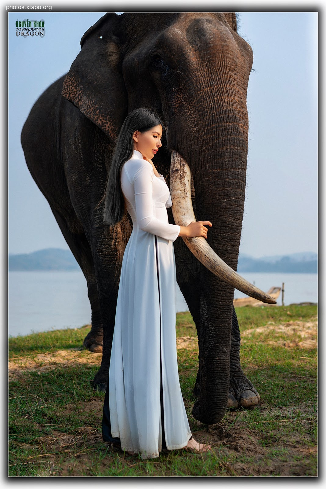 Thao Chi vs Kim Phung,