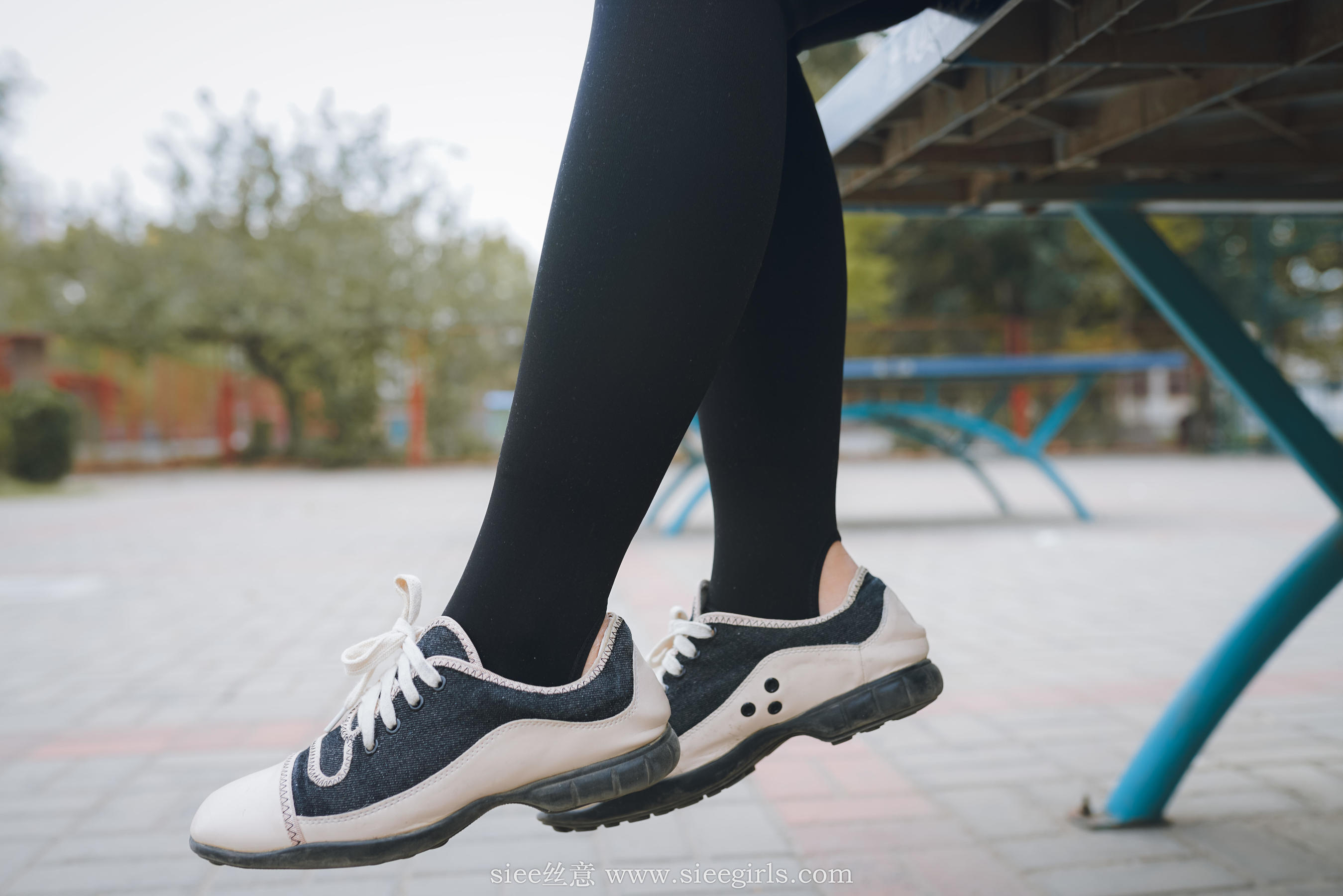 Si Yi Siee The romantic sisters of the bear