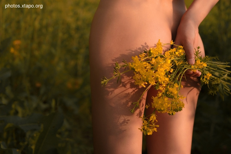 Thệp nguyit vi huân micro -醺 October October