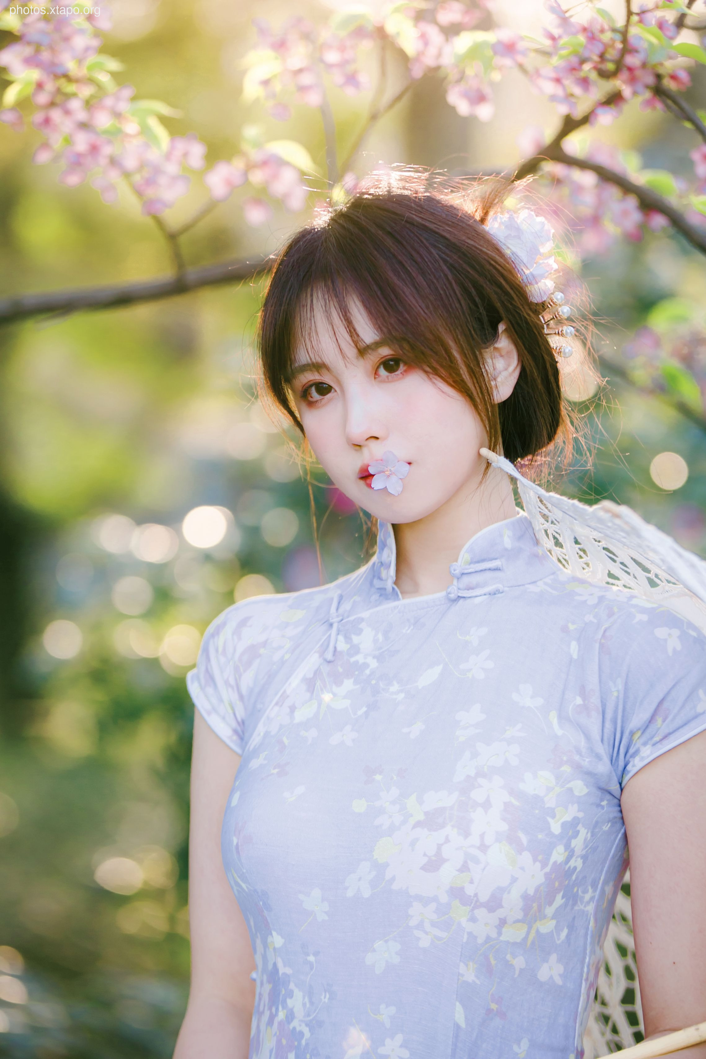 NO.026 Cheongsam 38P-377MB