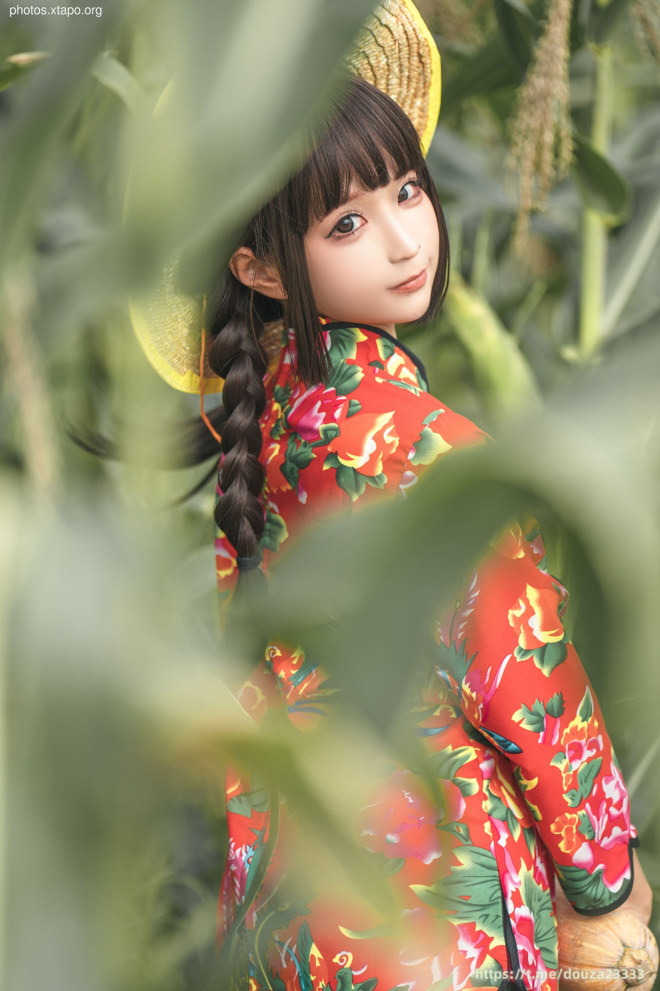 Story of Stupid Momo Rice Land (September 11th Member Resources)