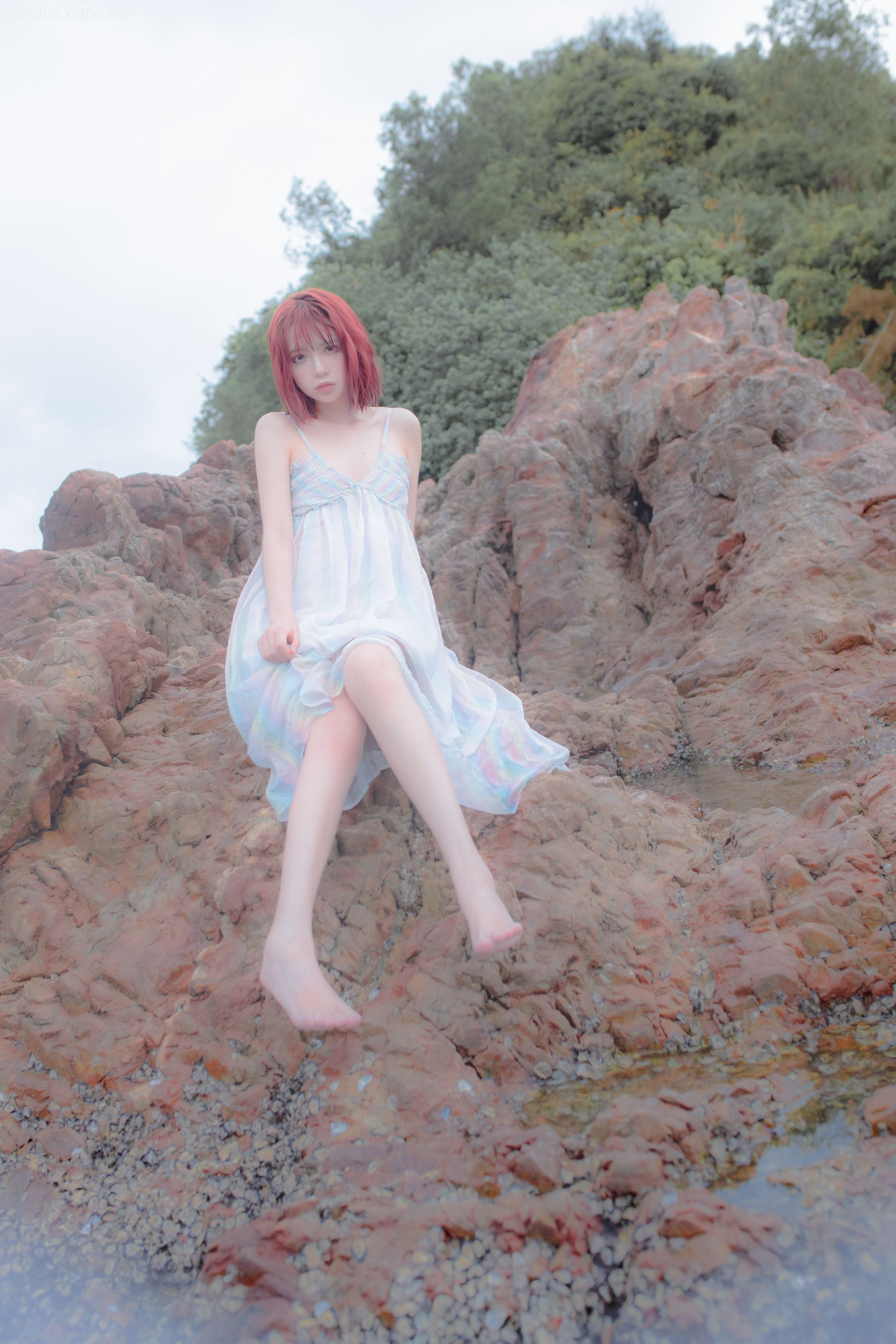 Crazy Cat SS Thinking This Reef Mermaid Crazy Cat SS Thinking This Reef Mermaid