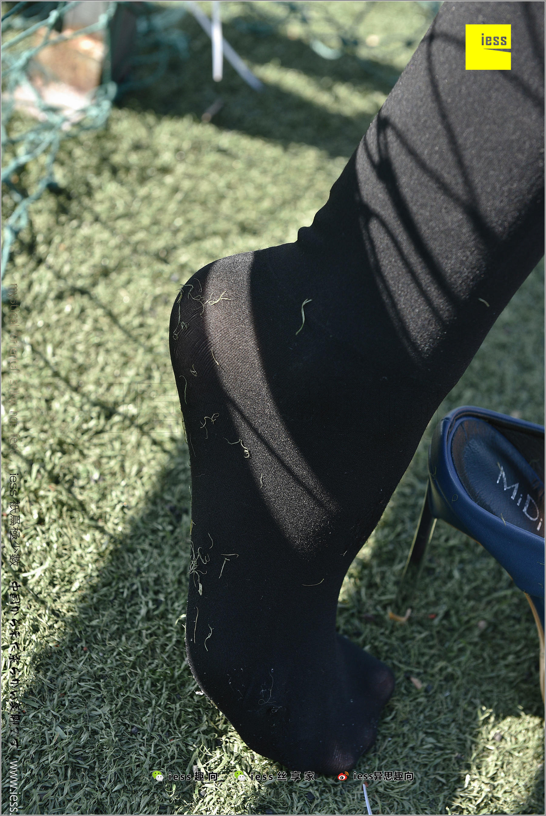 Silk Foot Bento 182 The Thick Black Silk Temptation of Thick Black Silk