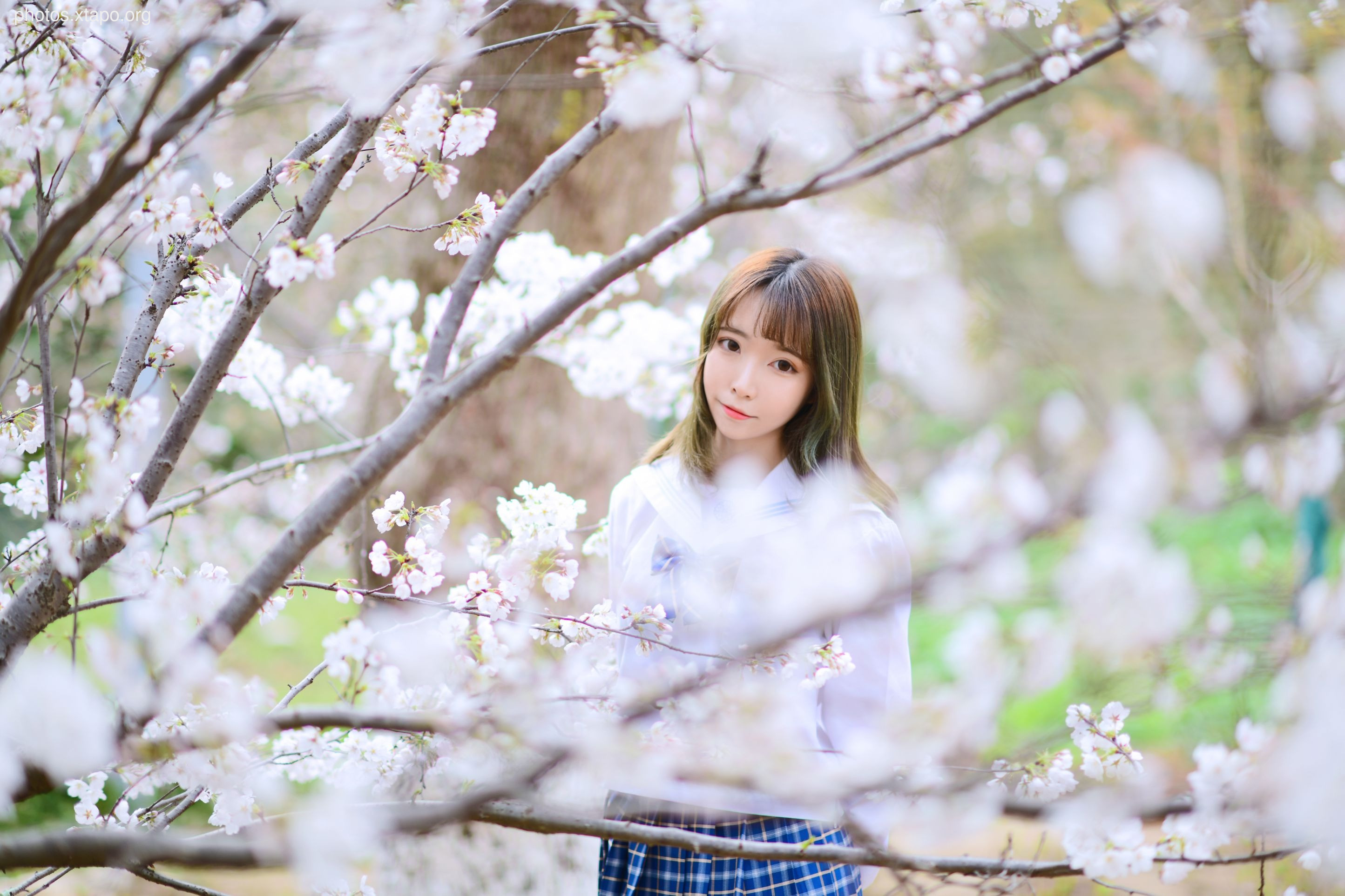 NO.009 Under the cherry tree