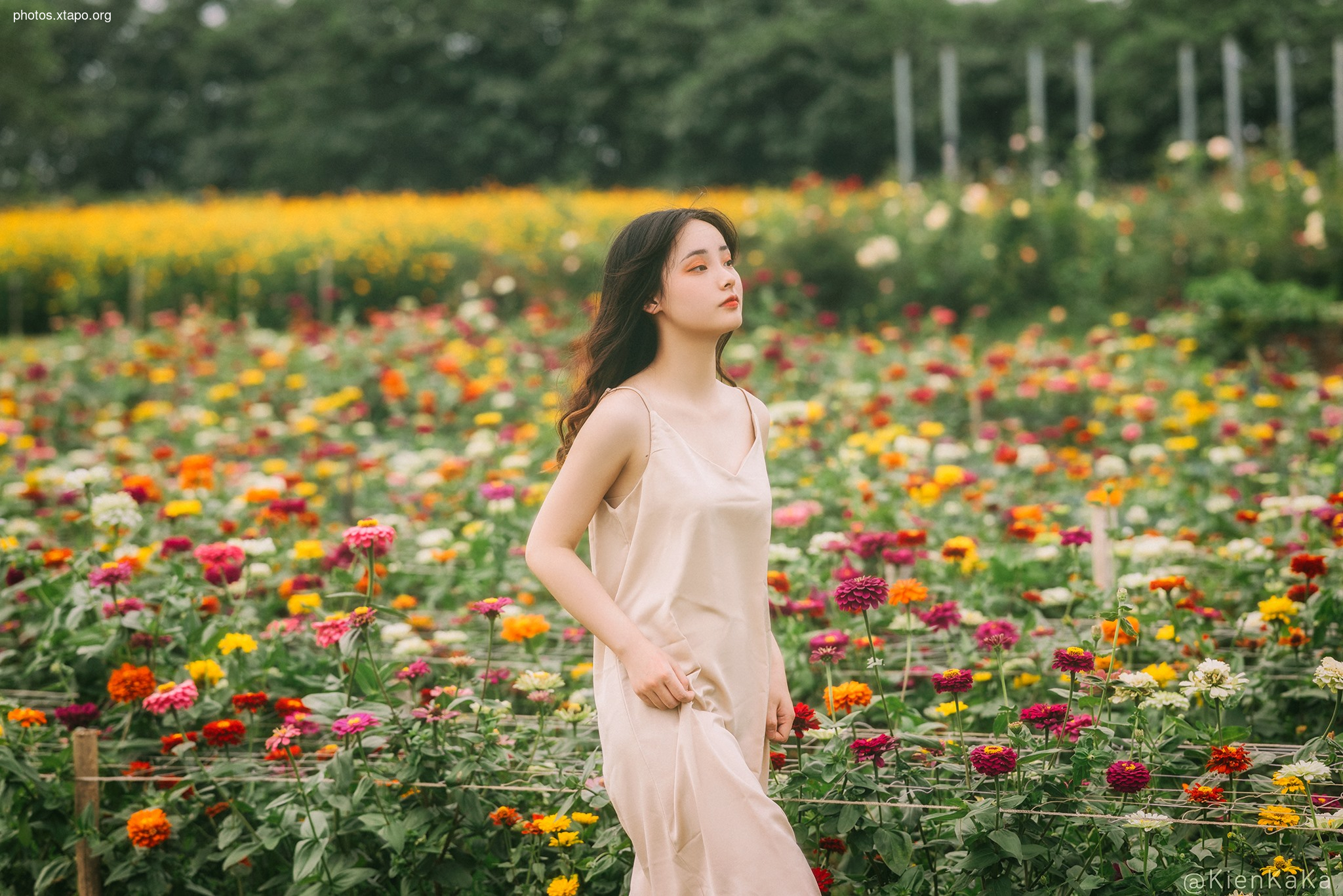 A young woman in a beige slip dress stands in a field of colorful zinnias.