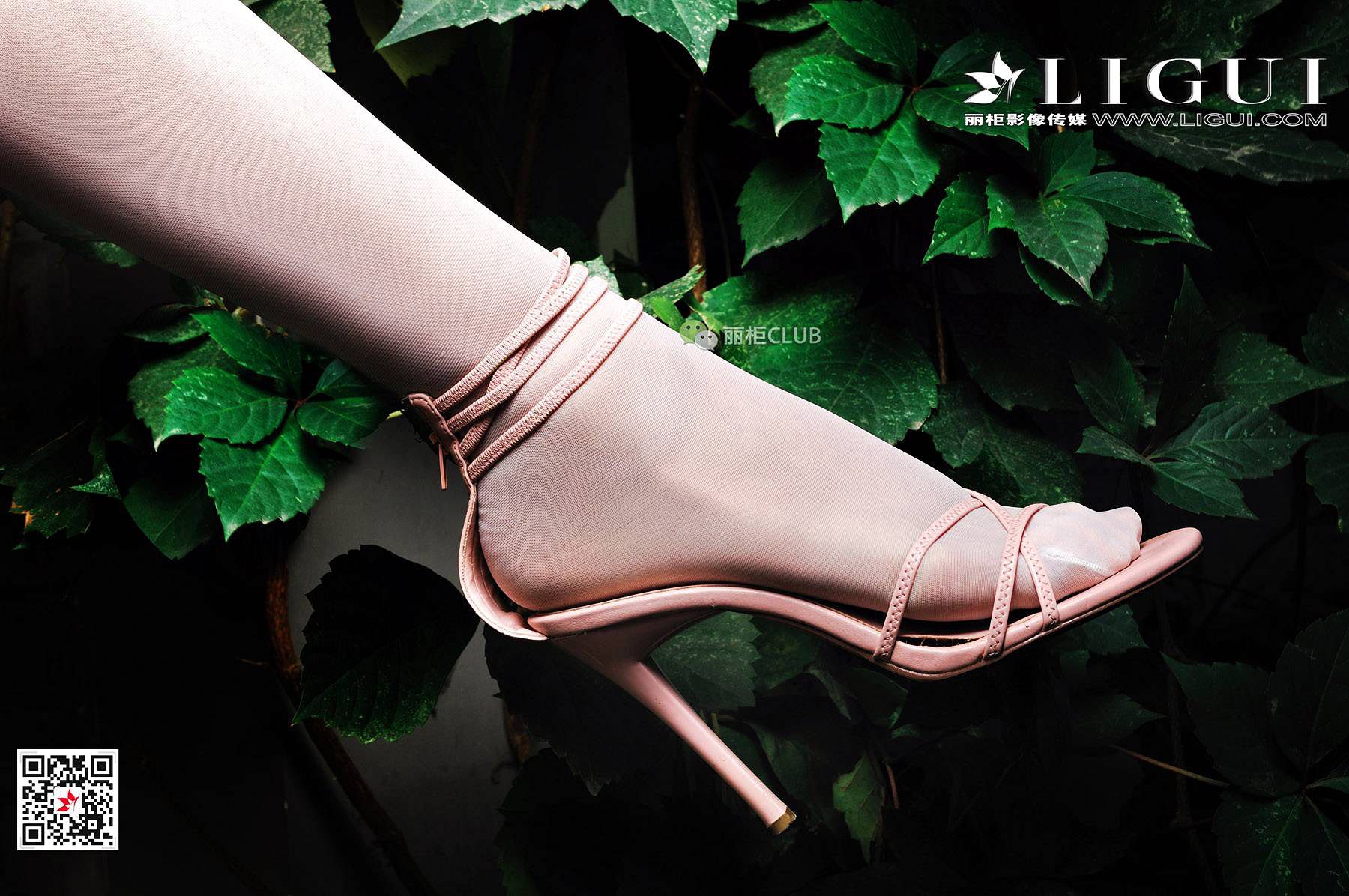 Leg Model Liu Tao Classical Meisi Li Cabinel Ligui Stockings Beautiful Legs