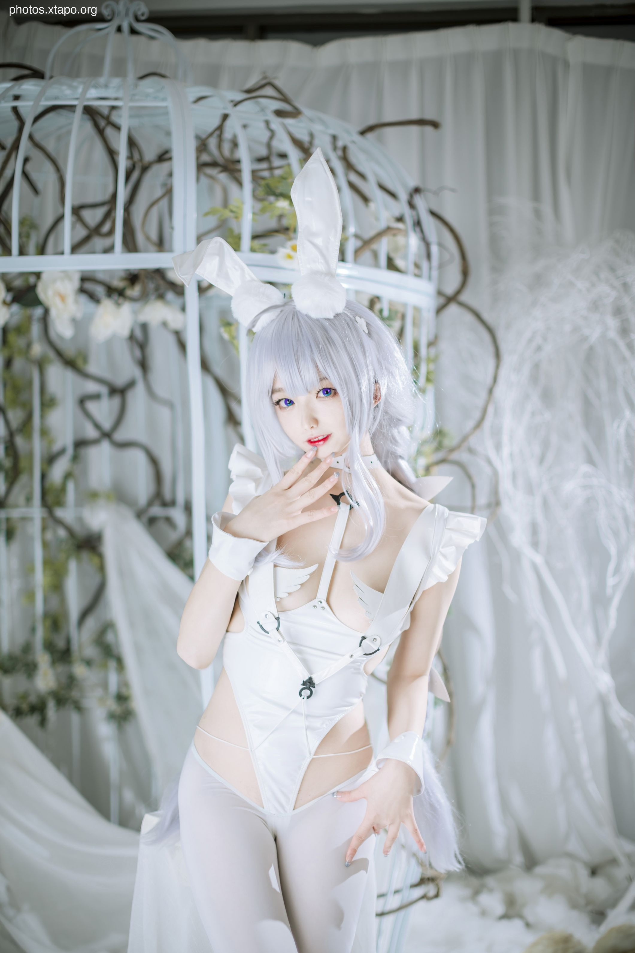 Fengjiang v & nbsp vicious (November 21st reward group resources)