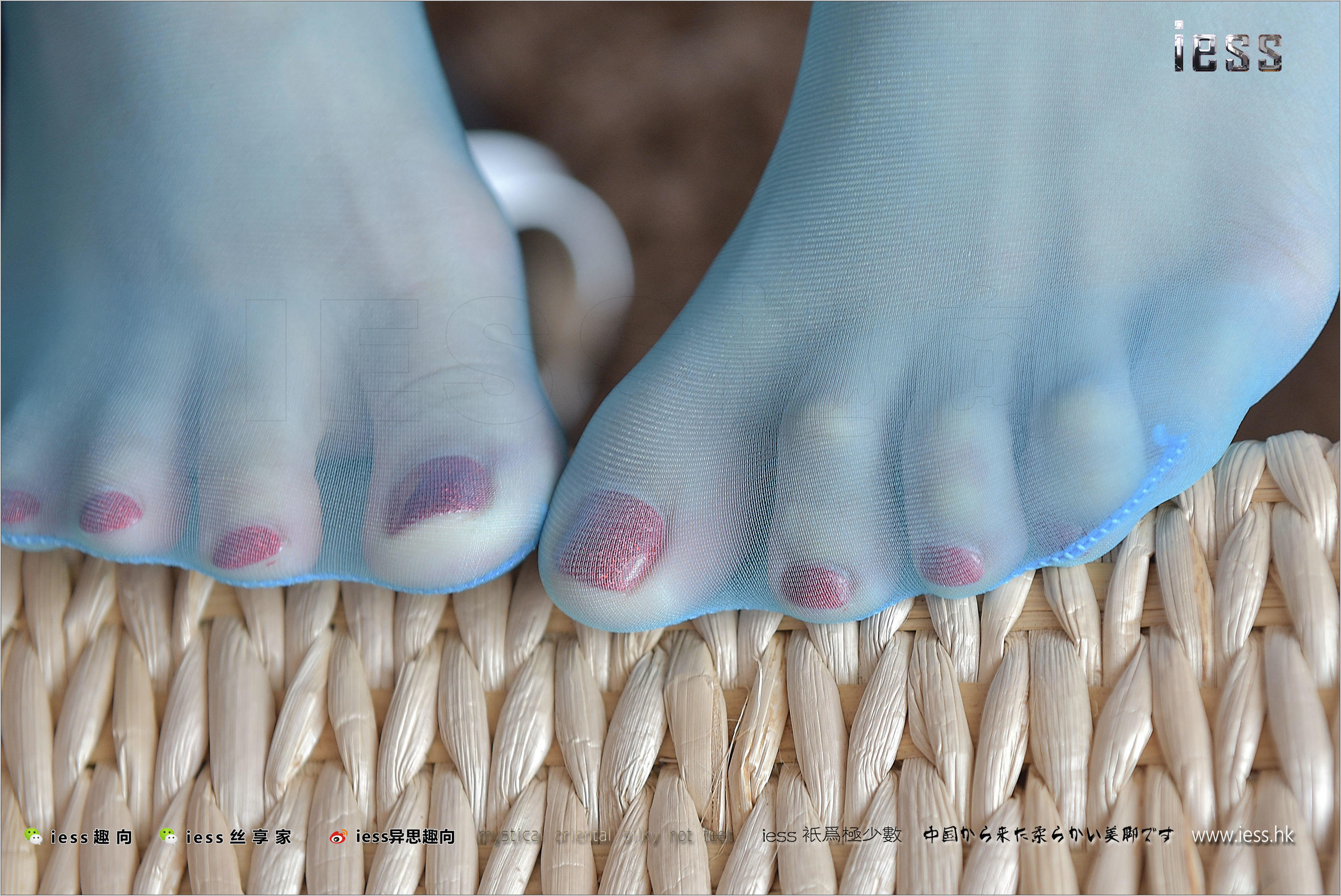 Silk Foot Bento 141 Shanshan Blue Taste IESS Thoughts and Fun