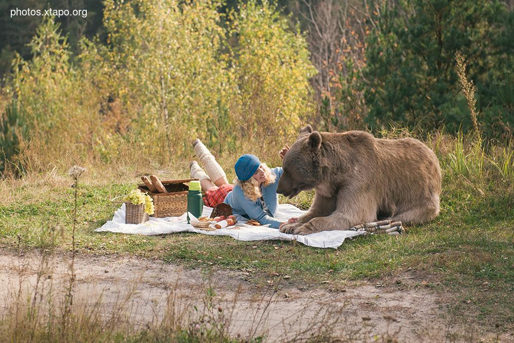 Russia nature, forest and animals by Olga Barantseva