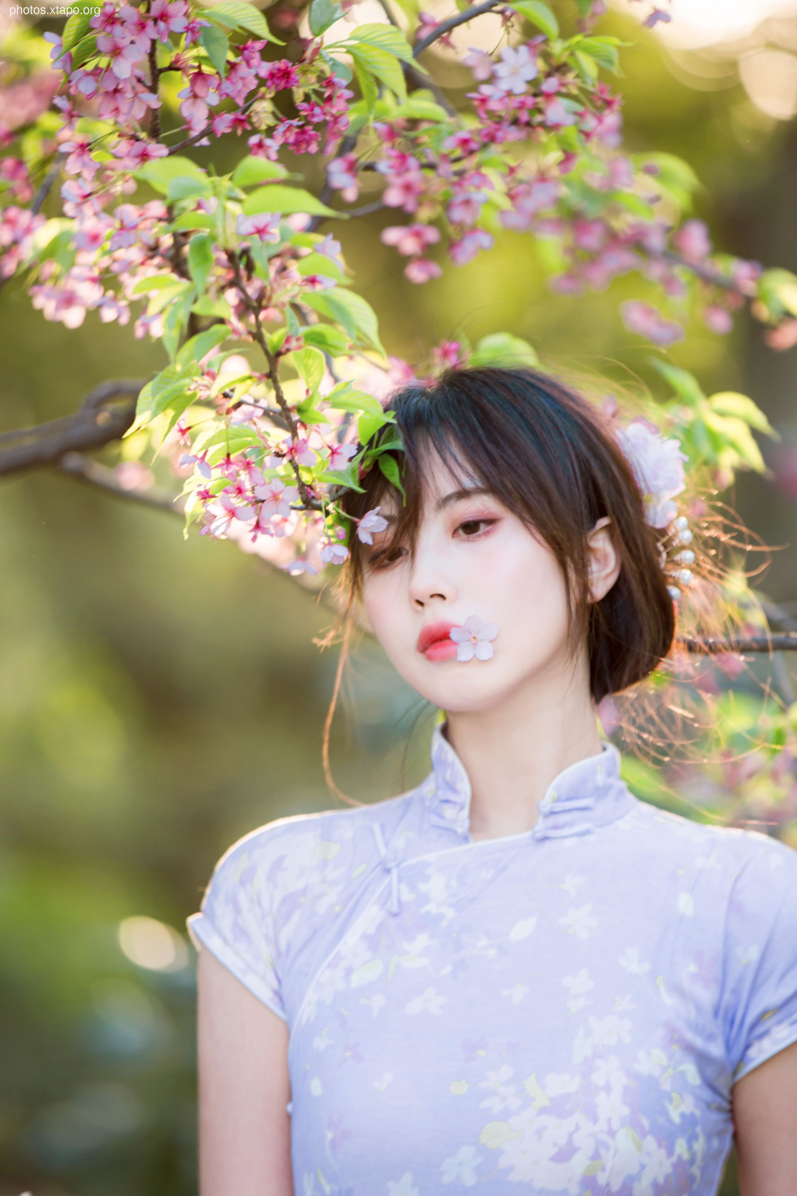 NO.026 Cheongsam 38P-377MB