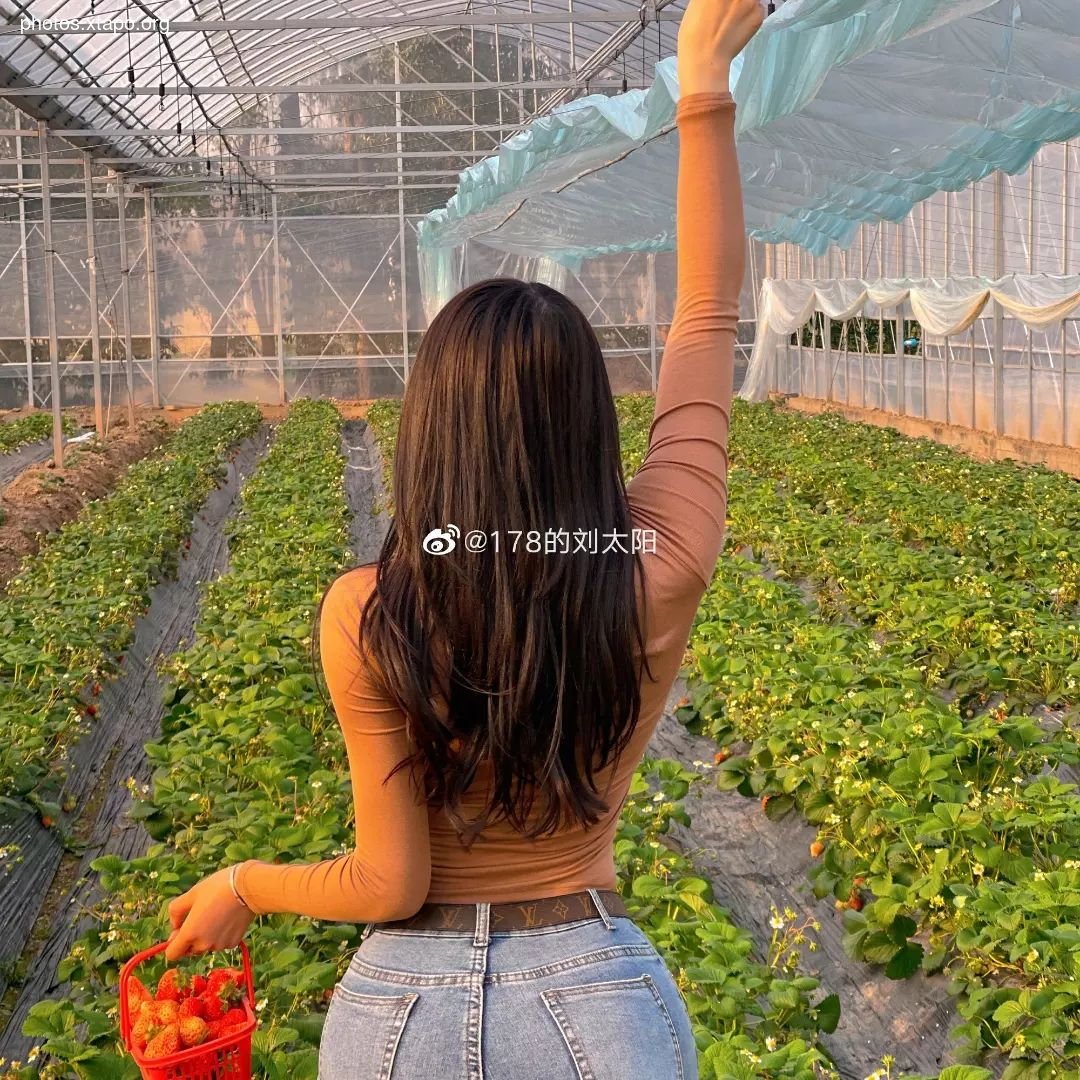 Liu tai yang Liu Taiyang,