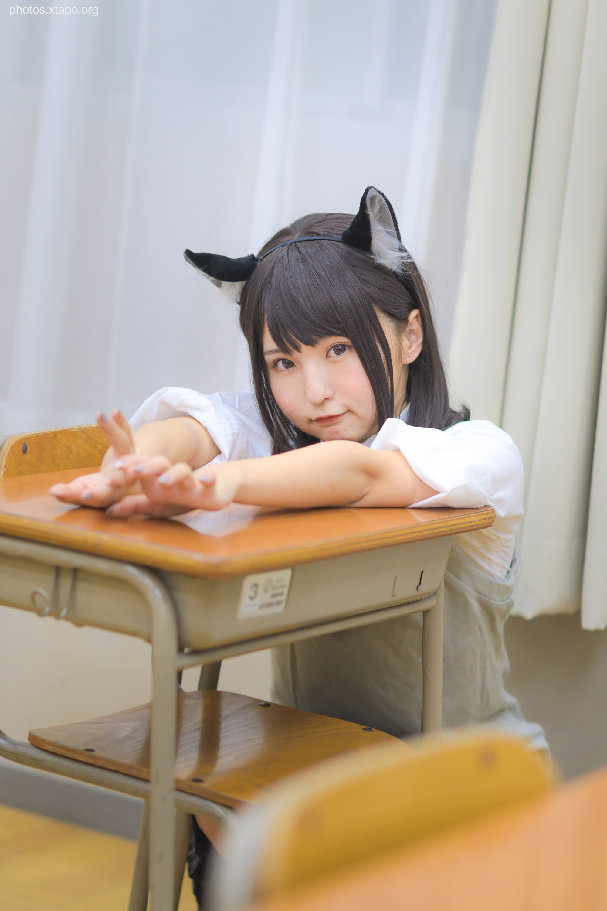 C96 Tofu Factory (Anni Tofu) mamefu Chaton