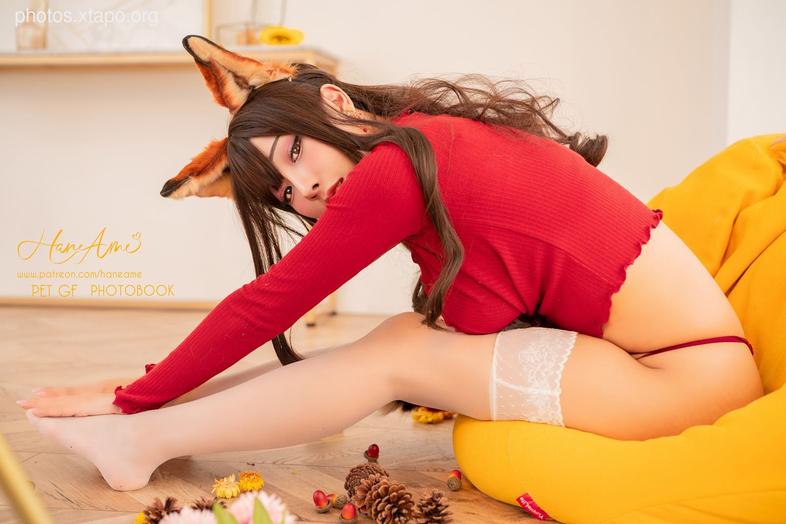 Rain wave_Hheneame- (Pet) Pet girlfriend fox