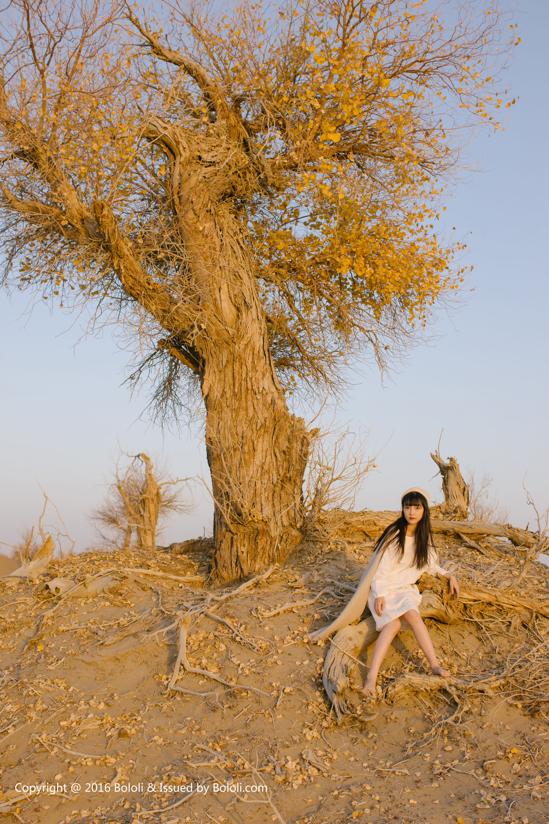 Wang Zhiying Desert Kimoe Que Meng Culture KIM009