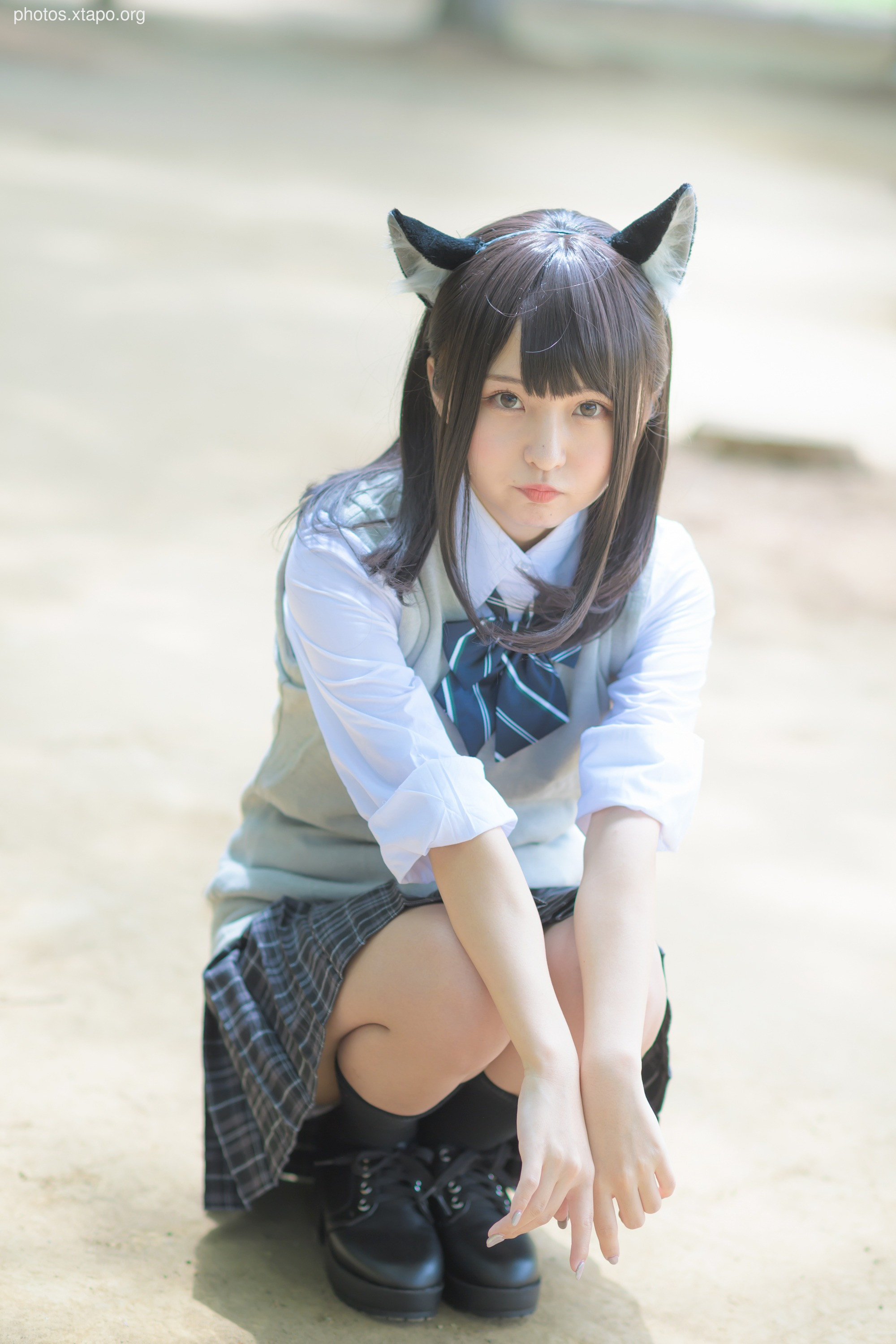 C96 Tofu Factory (Anni Tofu) mamefu Chaton