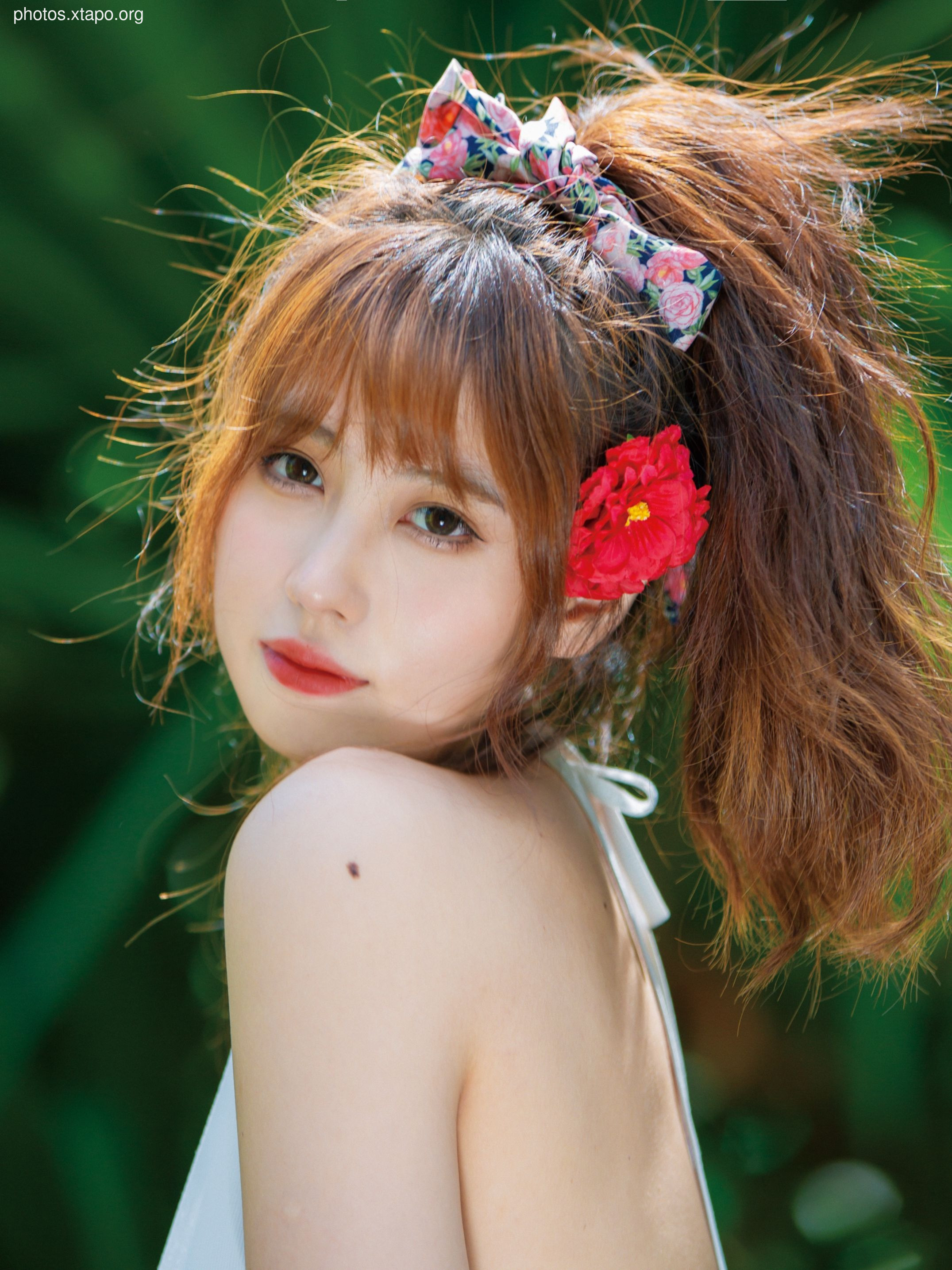 NO.034 Showa Flower 35P-435MB